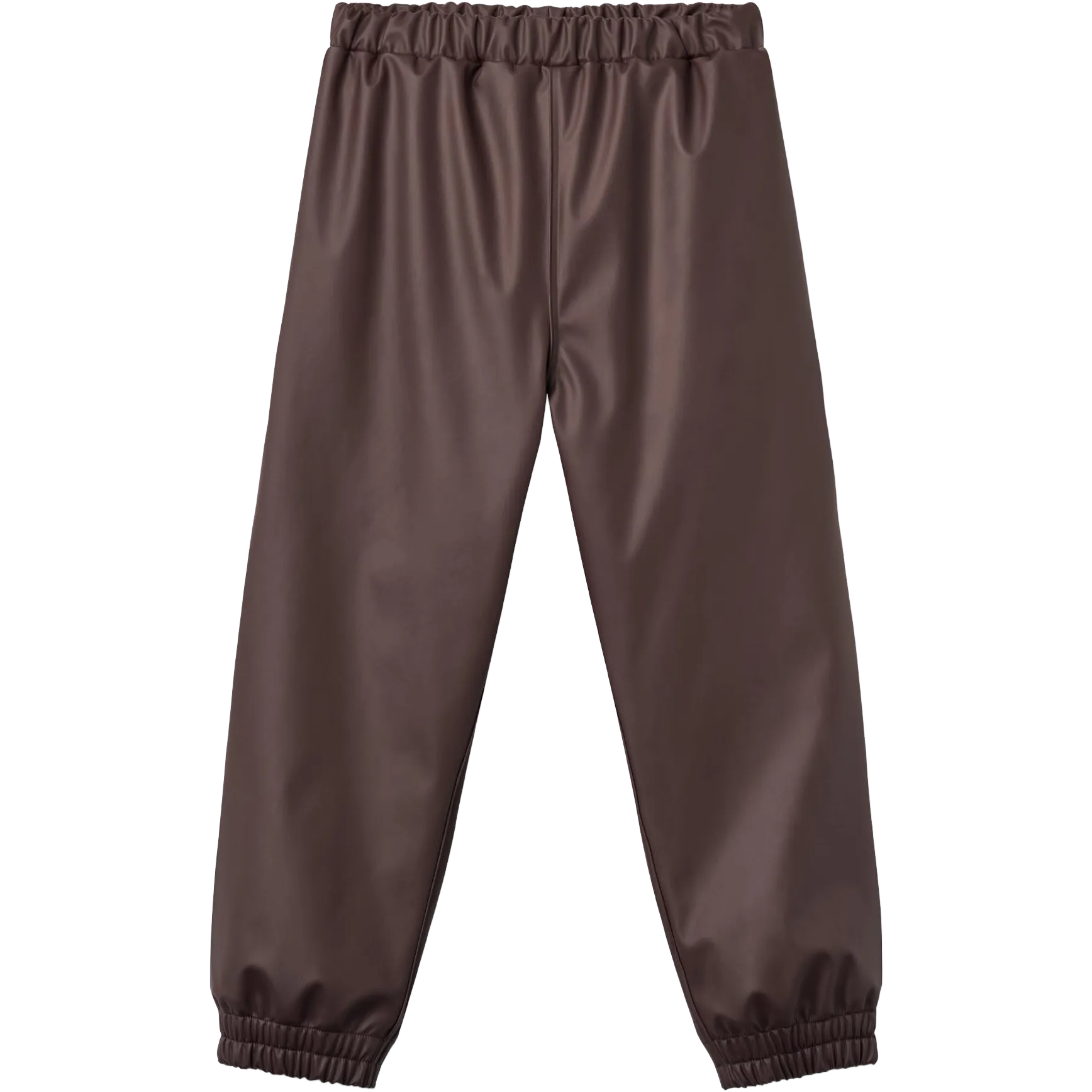 Chocolate Plum