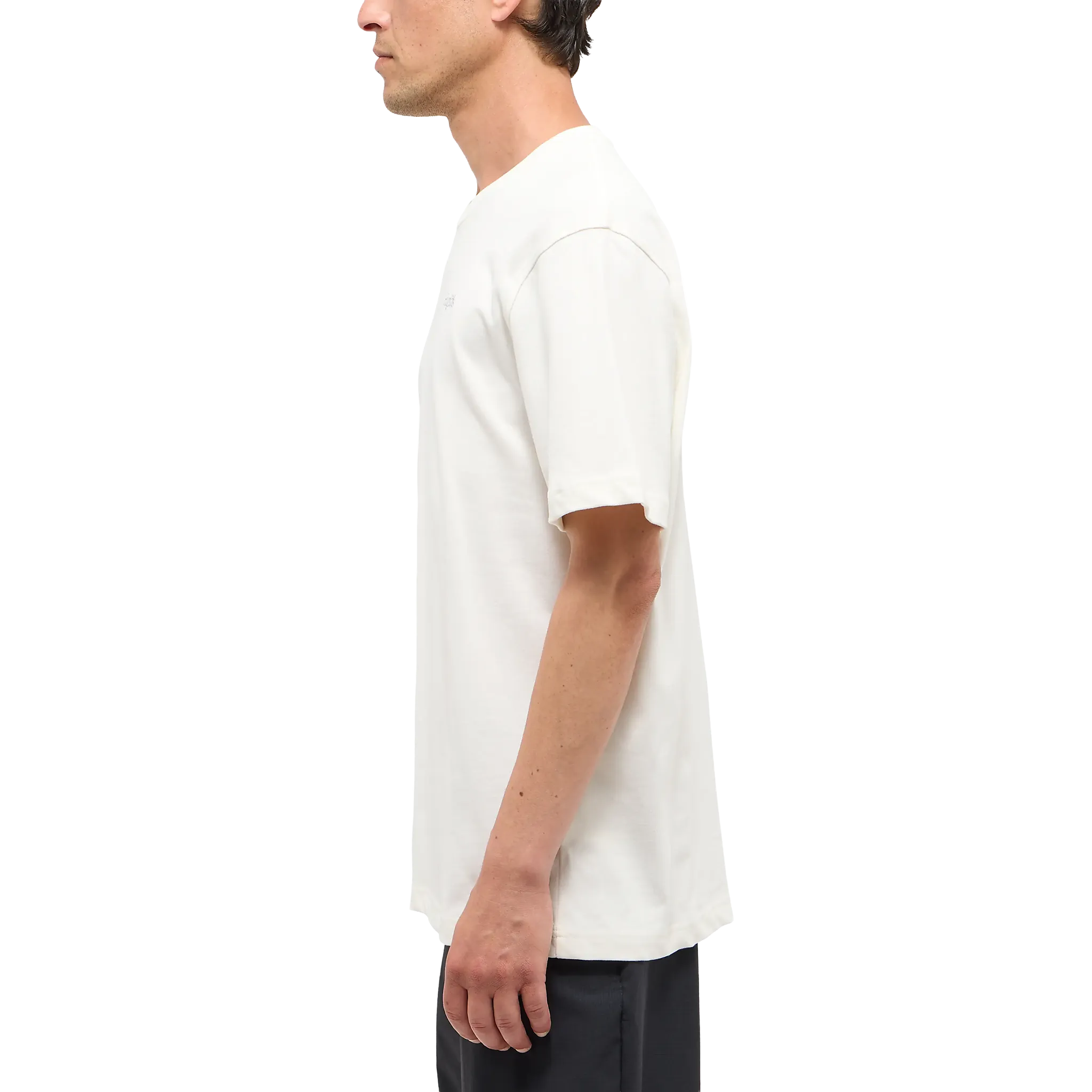 Haglöfs Tee Men herr-T-shirt