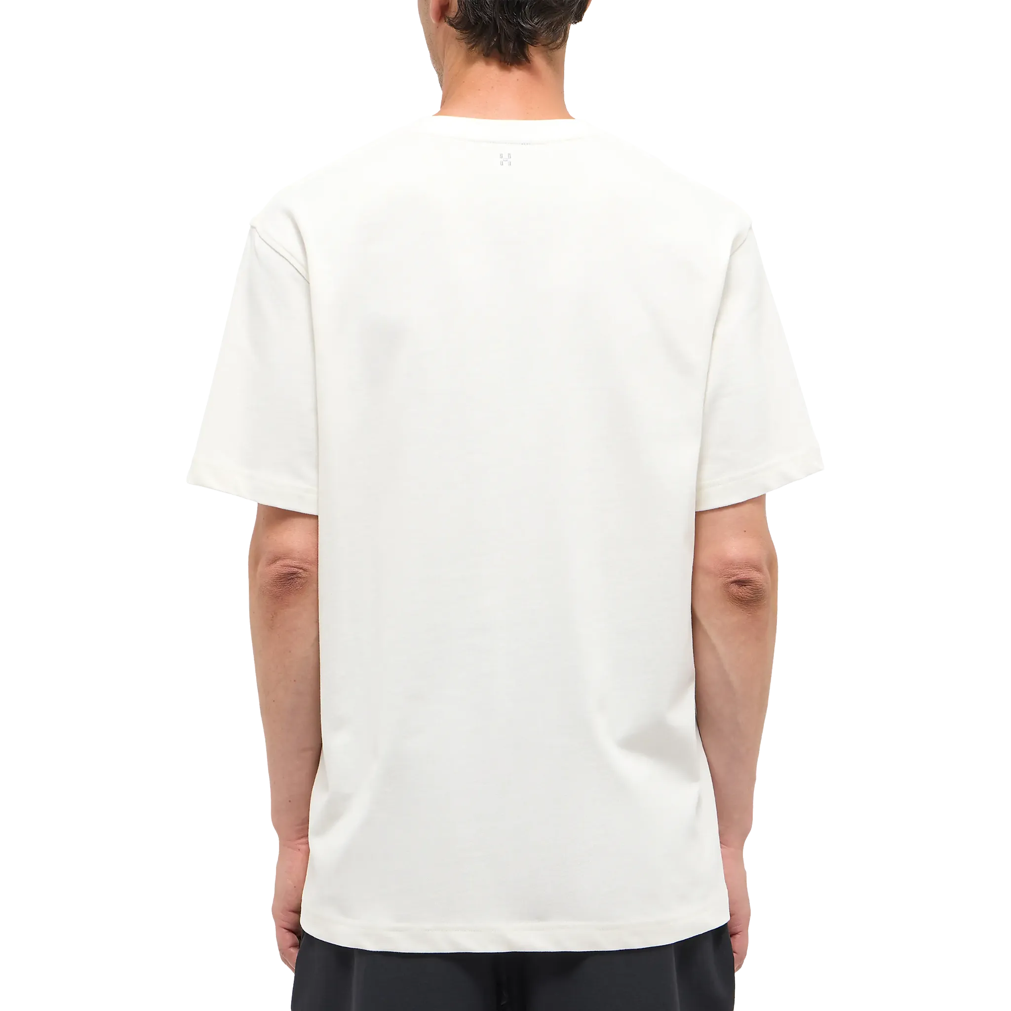 Haglöfs Tee Men herr-T-shirt