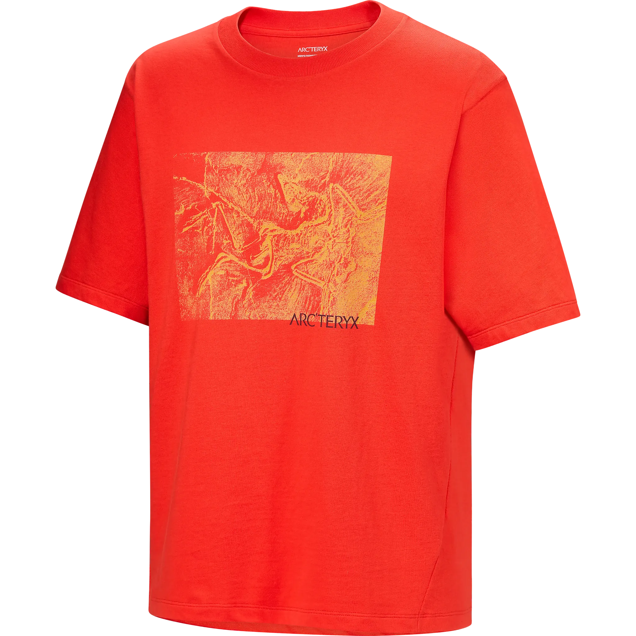 Kragg Cotton Lithographica SS Men