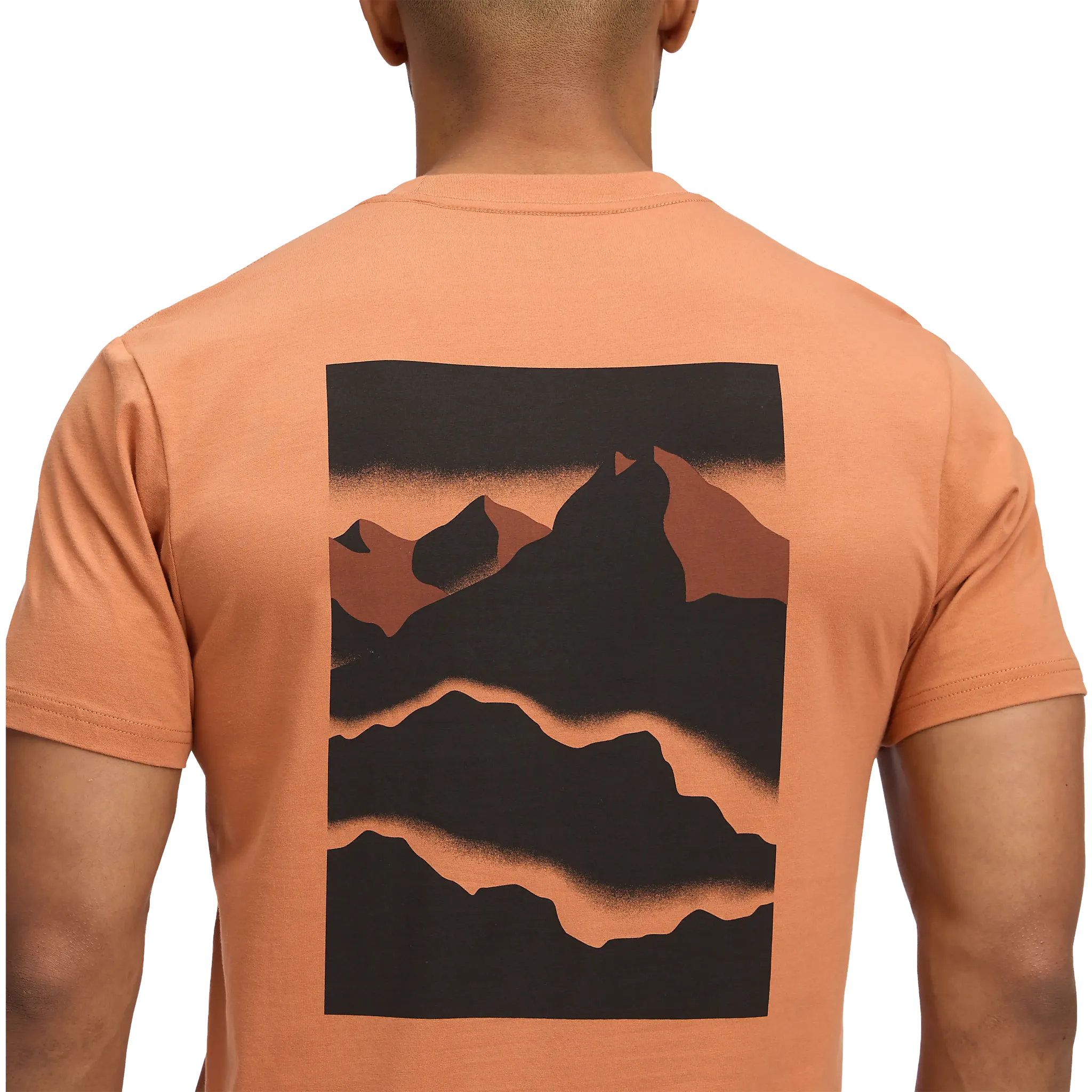 Mountainscape SS Tee Men T-shirt