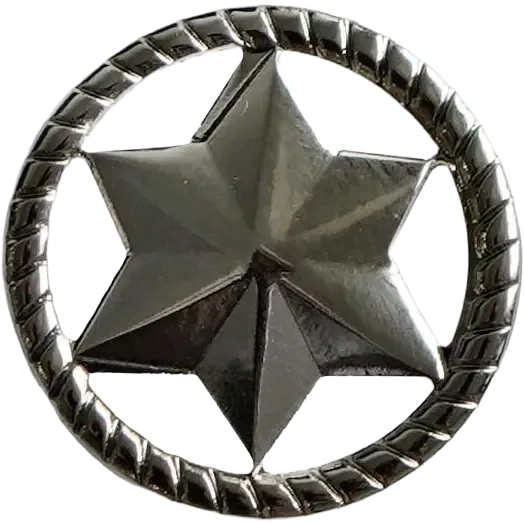 Jubilæumsstjerne