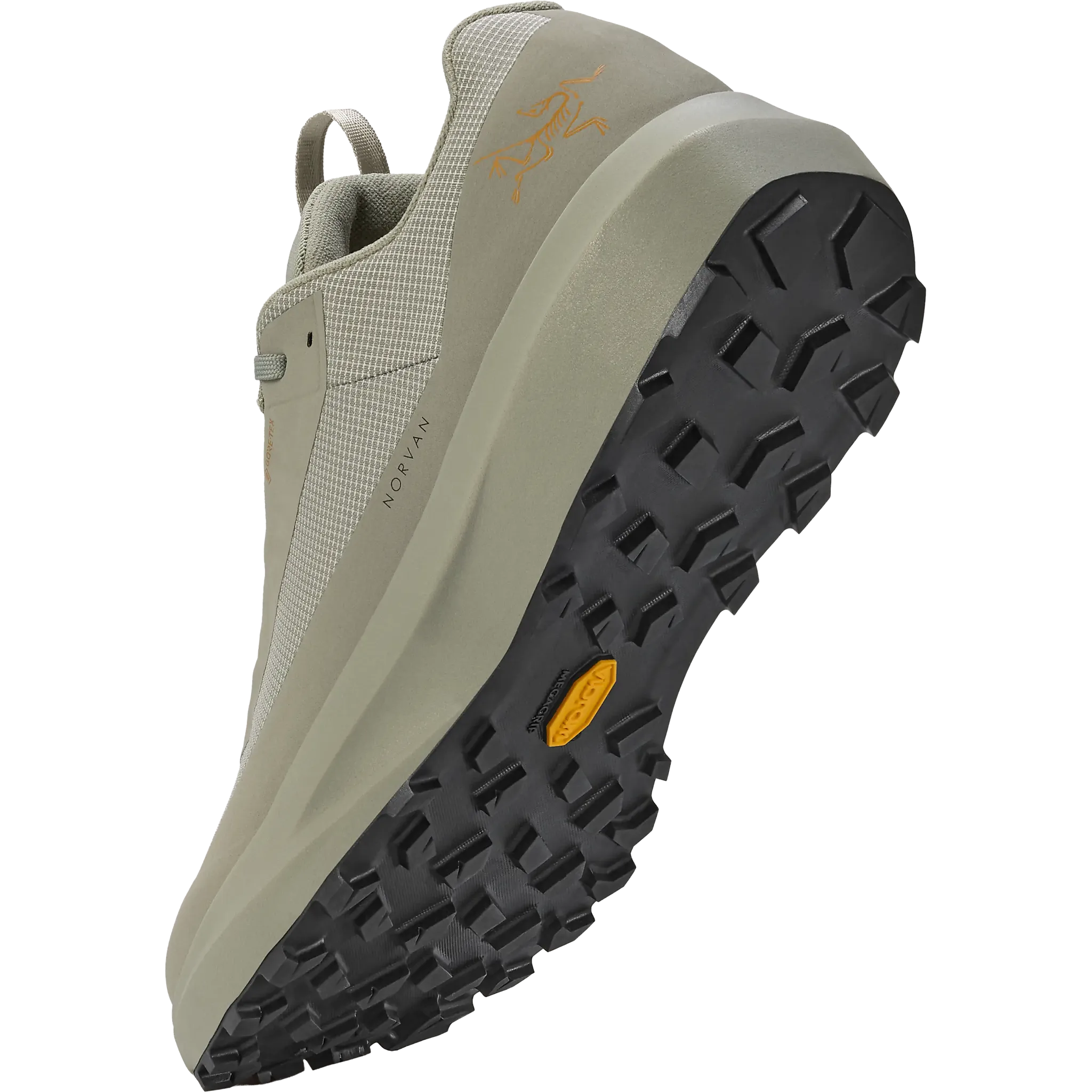 Norvan LD 4 GTX Men