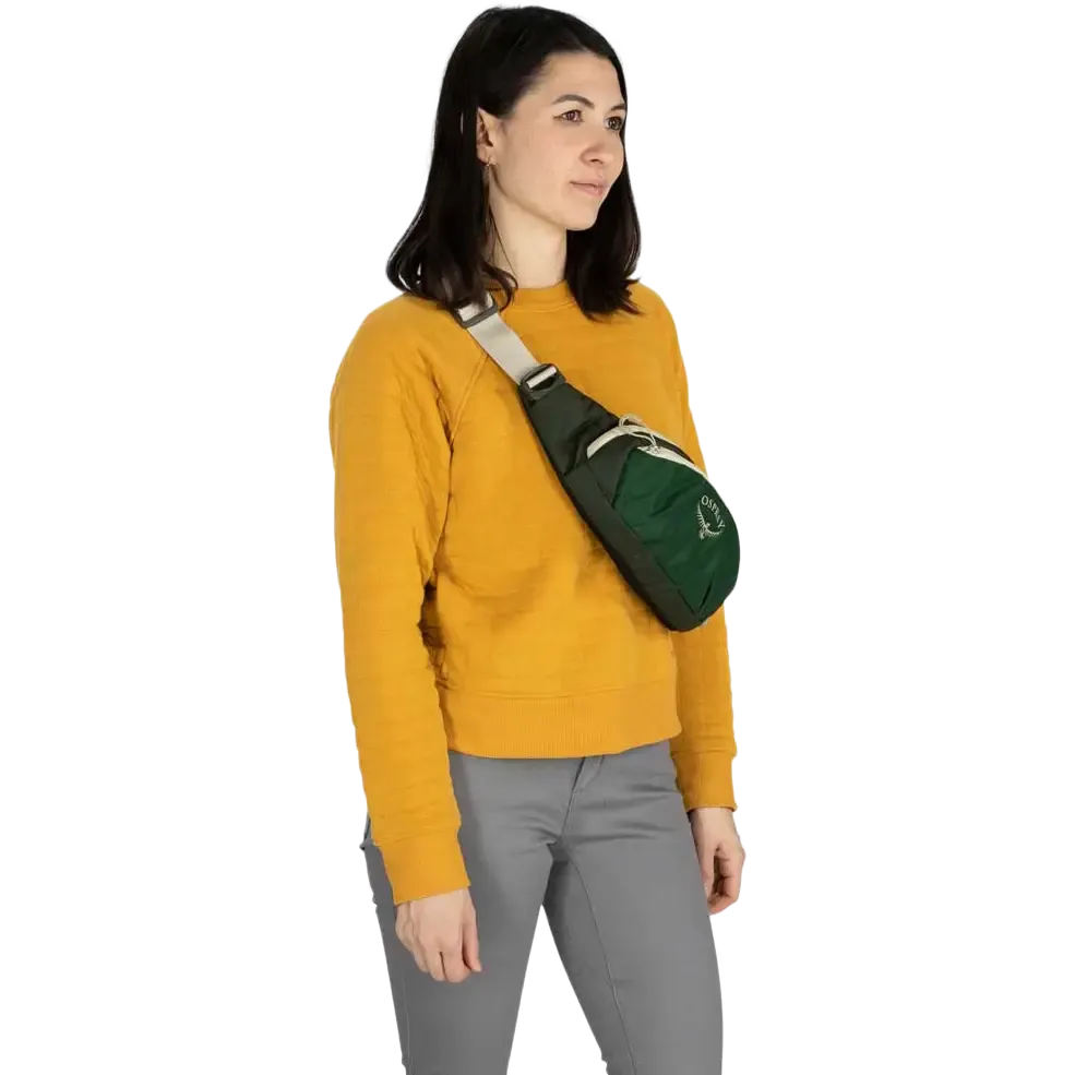 Daylite Waist bæltetaske