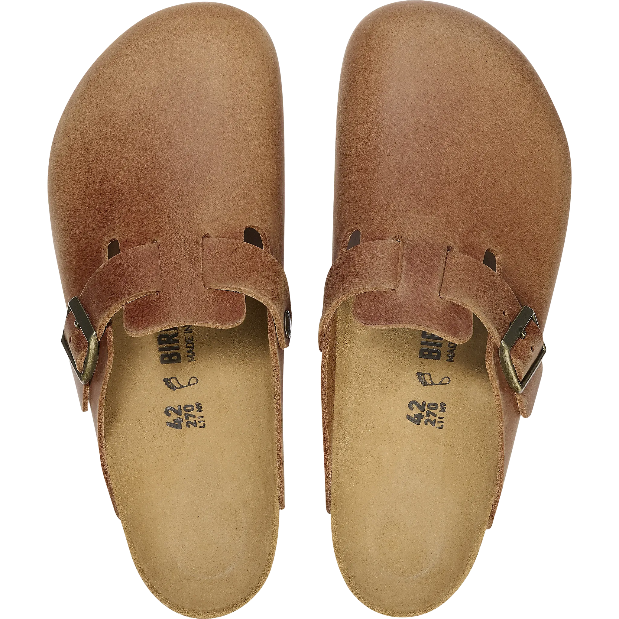 Boston Oiled Leather Regular