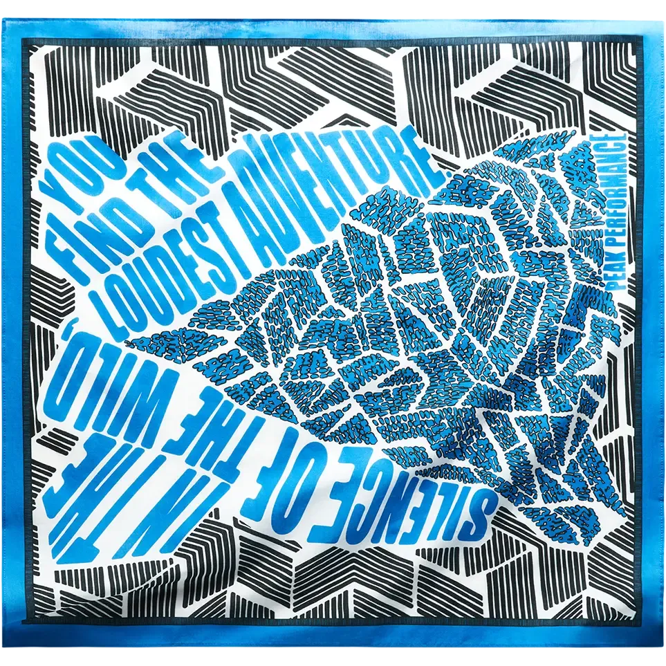 Artwork Bandana