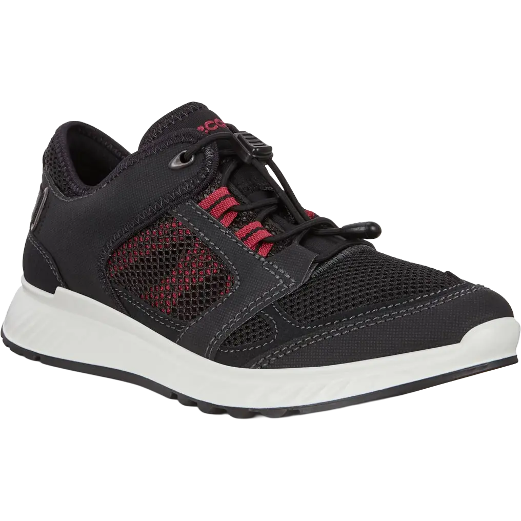 eko　0226 Kenko 237731 ZX II Lens Filter, Protector, 1.8 inches (46 mm