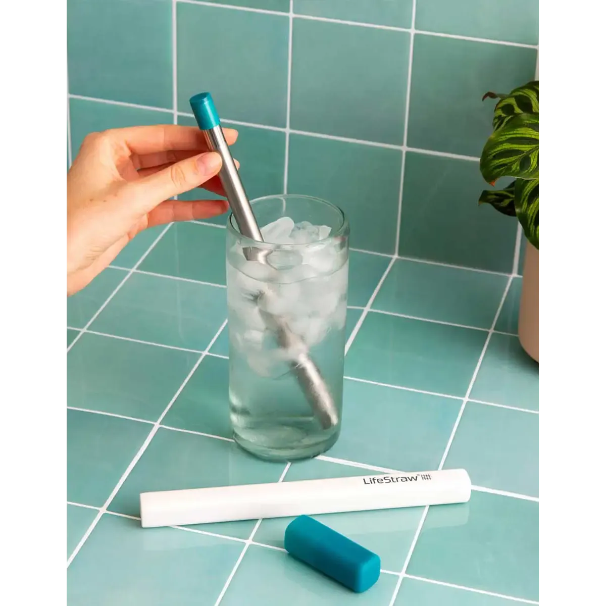 SIP straw with Carry Case