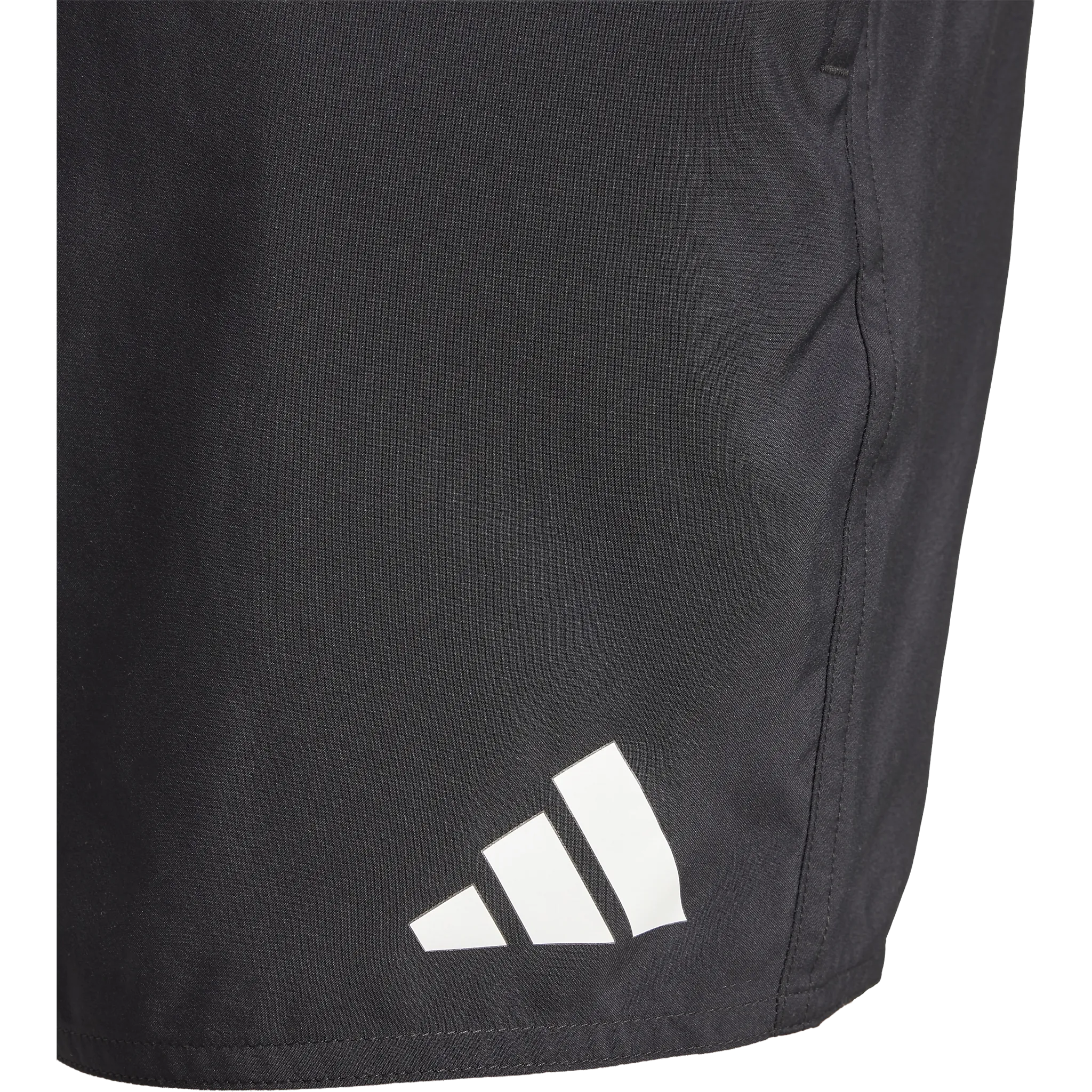 Swim Shorts 5'' Herr