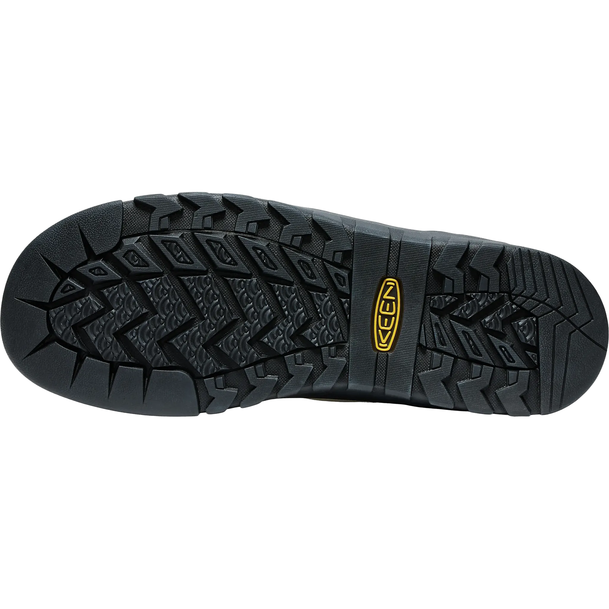 Jasper Rocks SP Men herresko