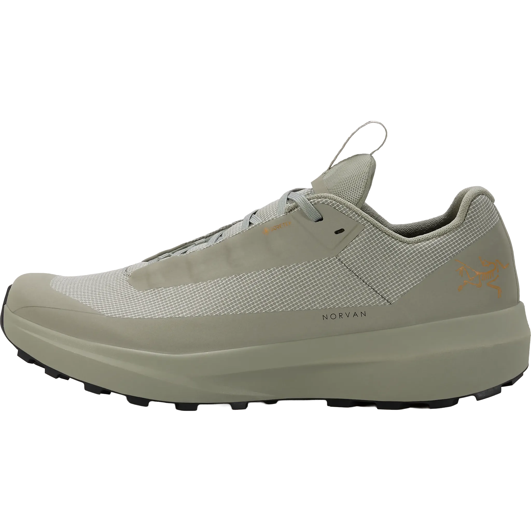 Norvan LD 4 GTX Men