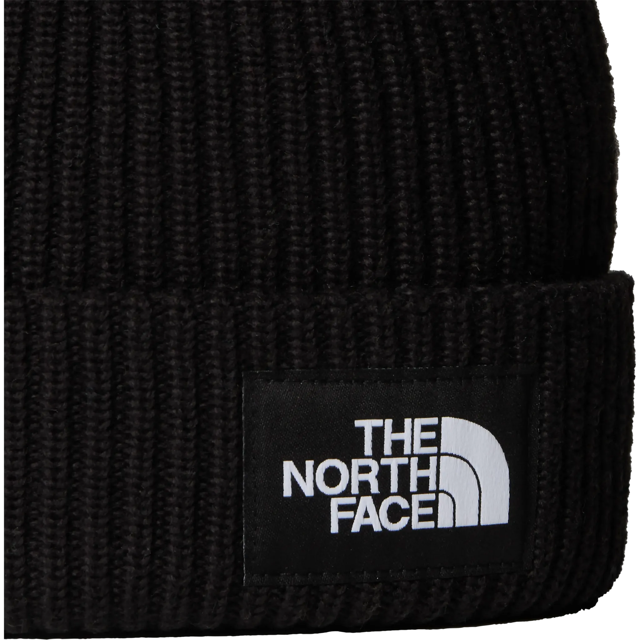 Salty Lined Beanie Teen