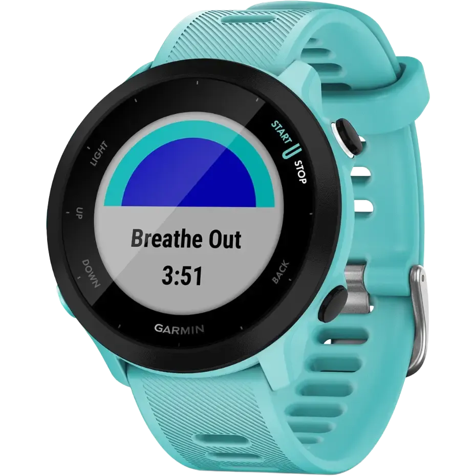 Forerunner 55
