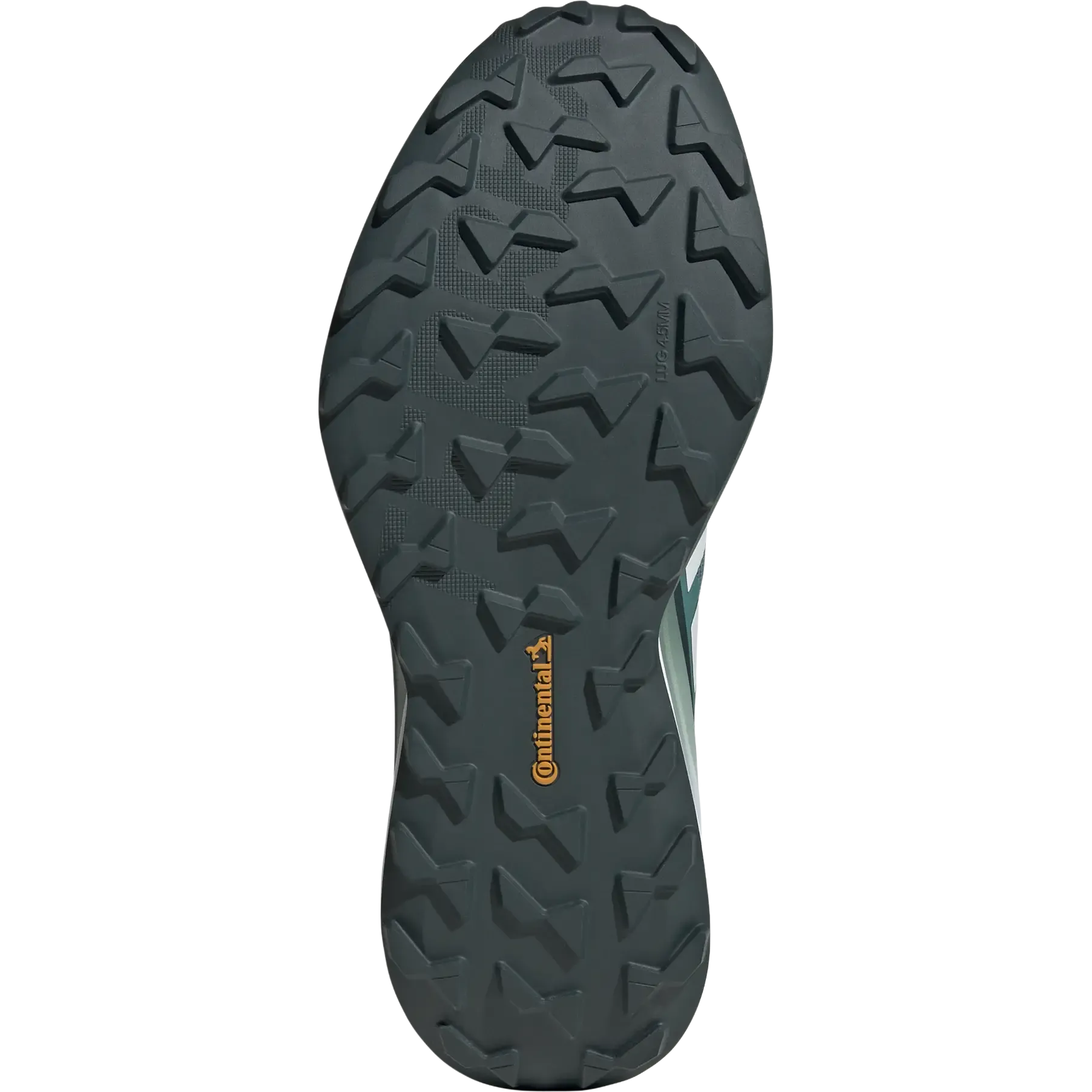 Terrex Agravic GTX Men