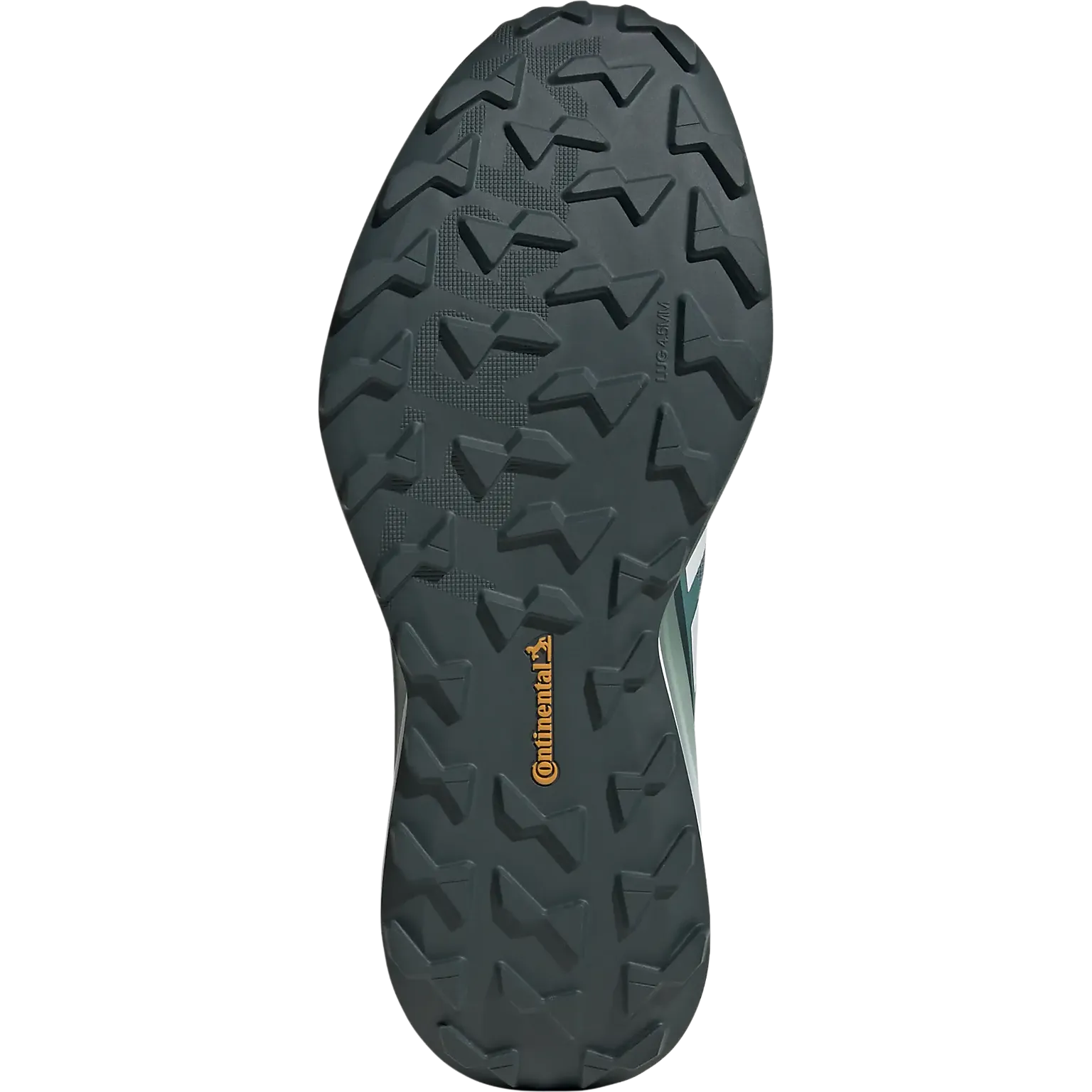 Terrex Agravic GTX Men