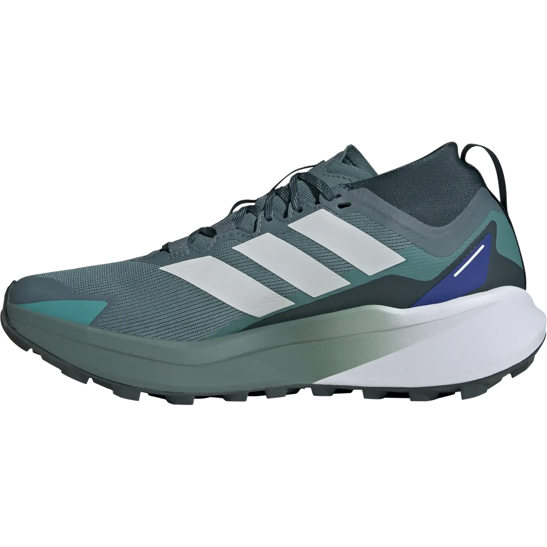 Terrex Agravic GTX Men