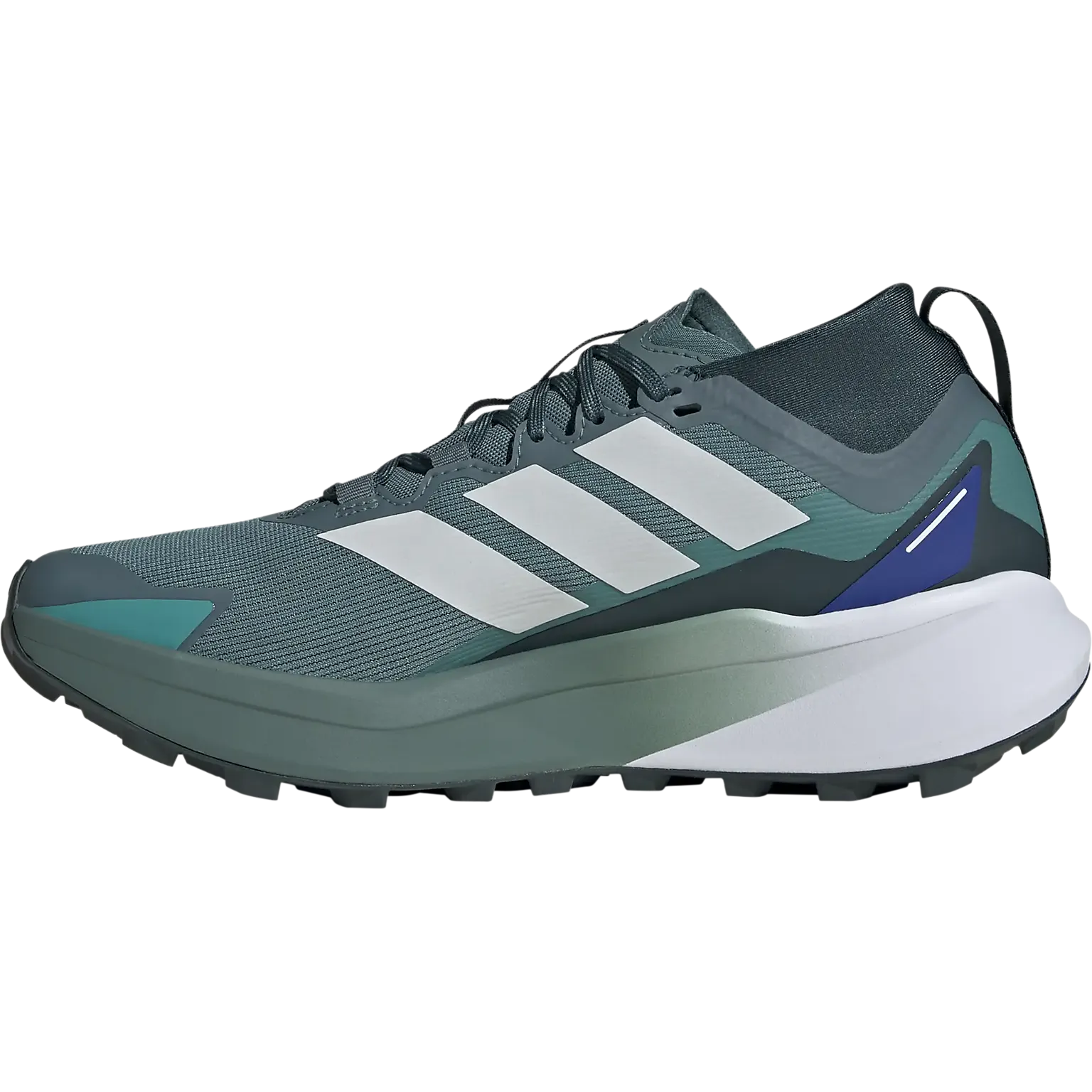 Terrex Agravic GTX Men