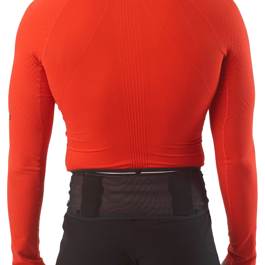 S/Lab Belt