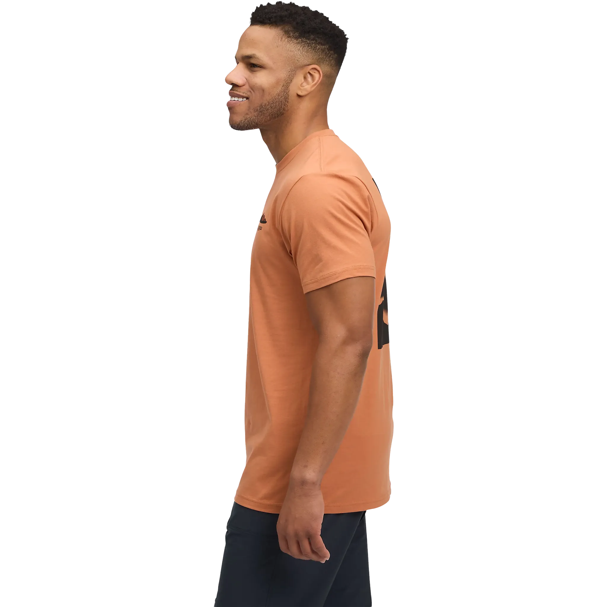 Mountainscape SS Tee Men T-shirt