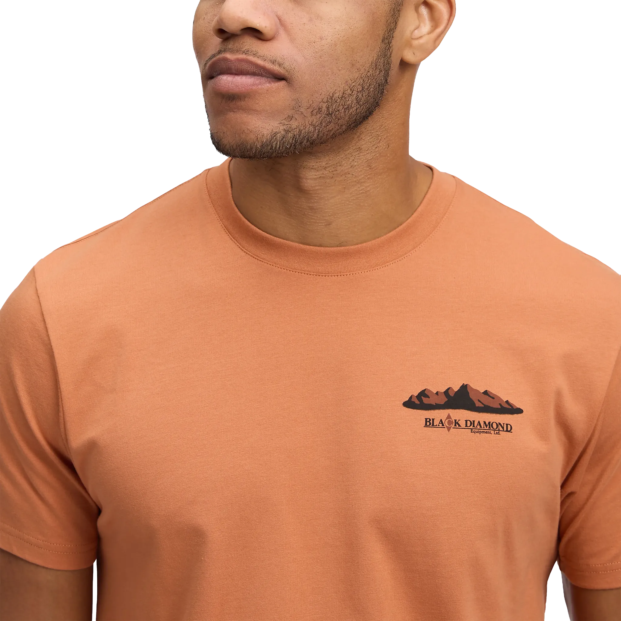 Mountainscape SS Tee Men T-shirt