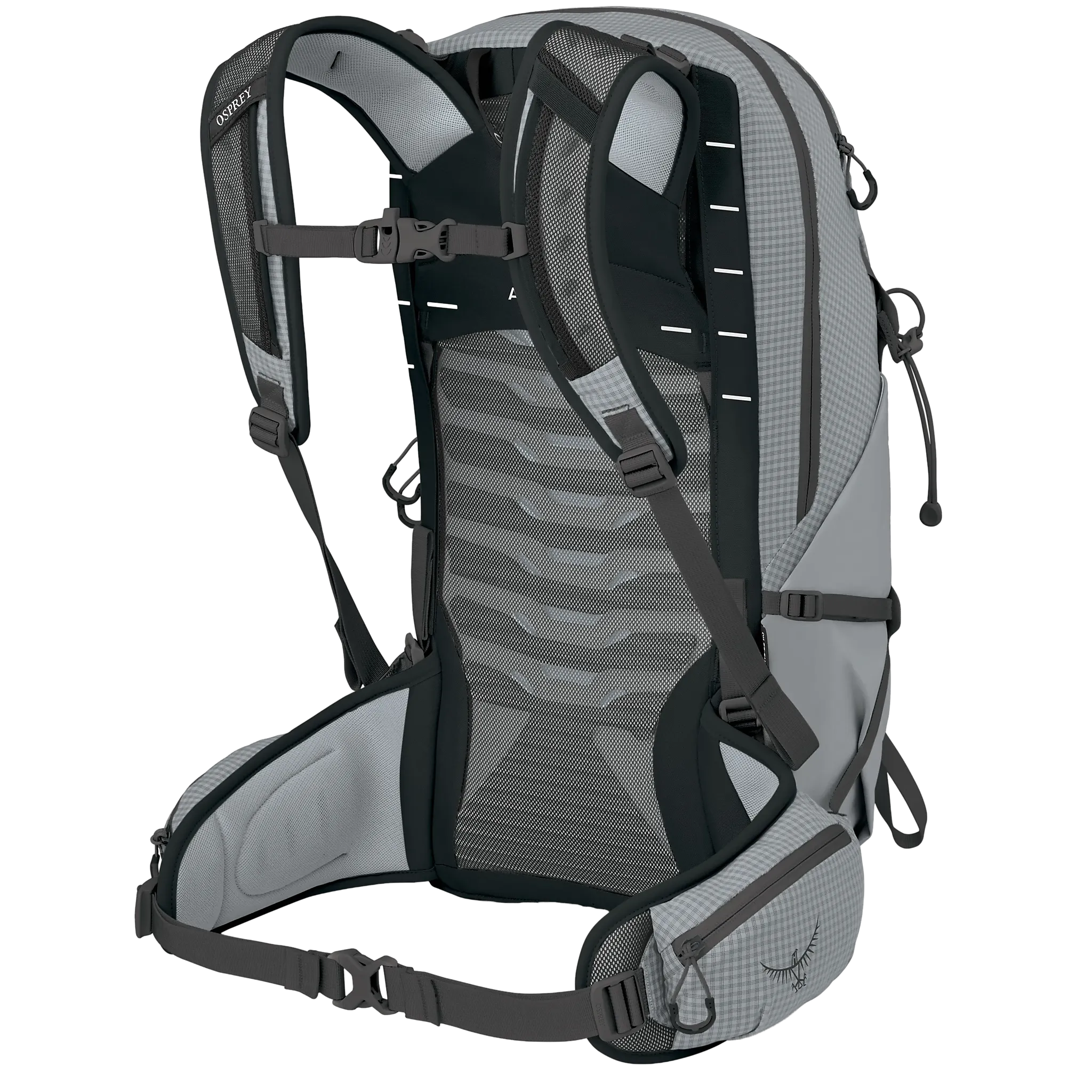 Talon Pro 20 rygsæk