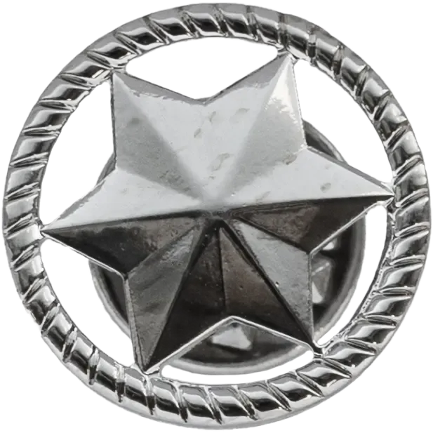 Jubilæumsstjerne