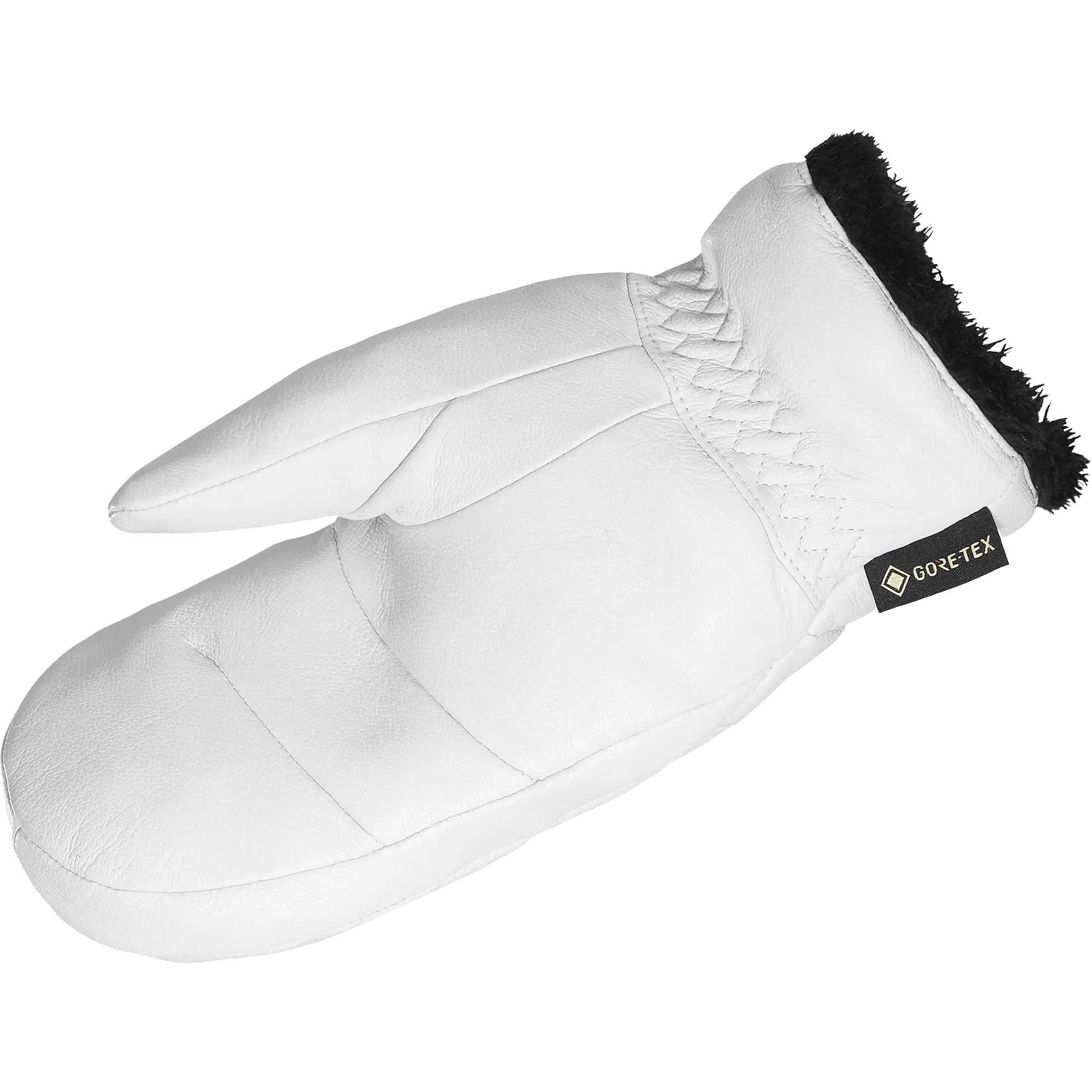 Native Gore-Tex Mitten