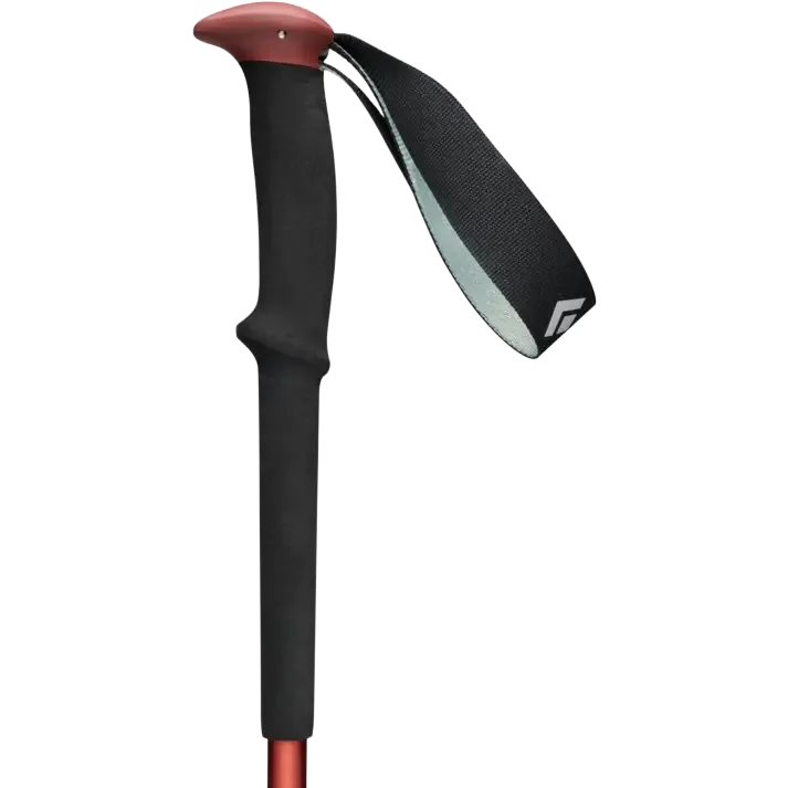 Trail Trekking Poles vandringsstavar