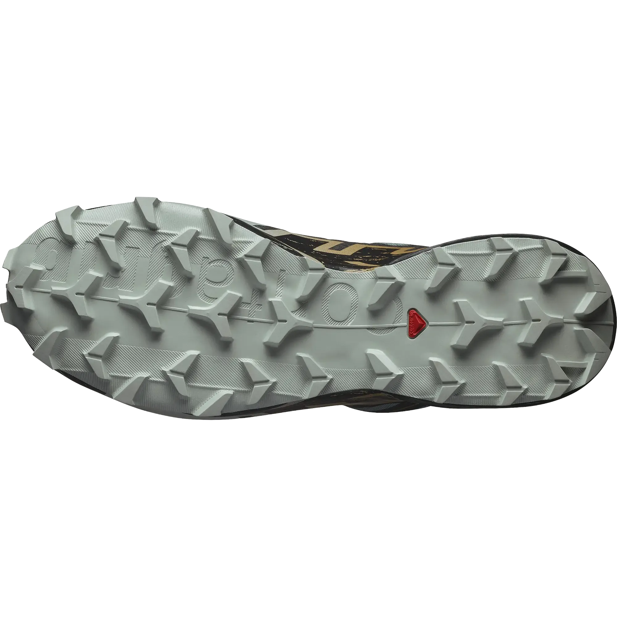 Speedcross 6 GTX Men