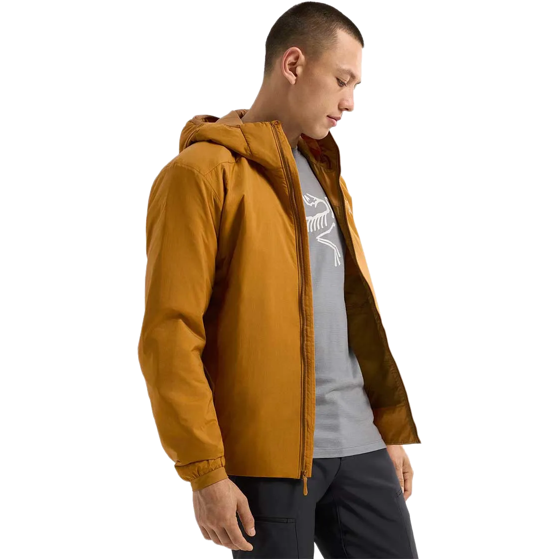 Atom Hoody Men Fiberjakke