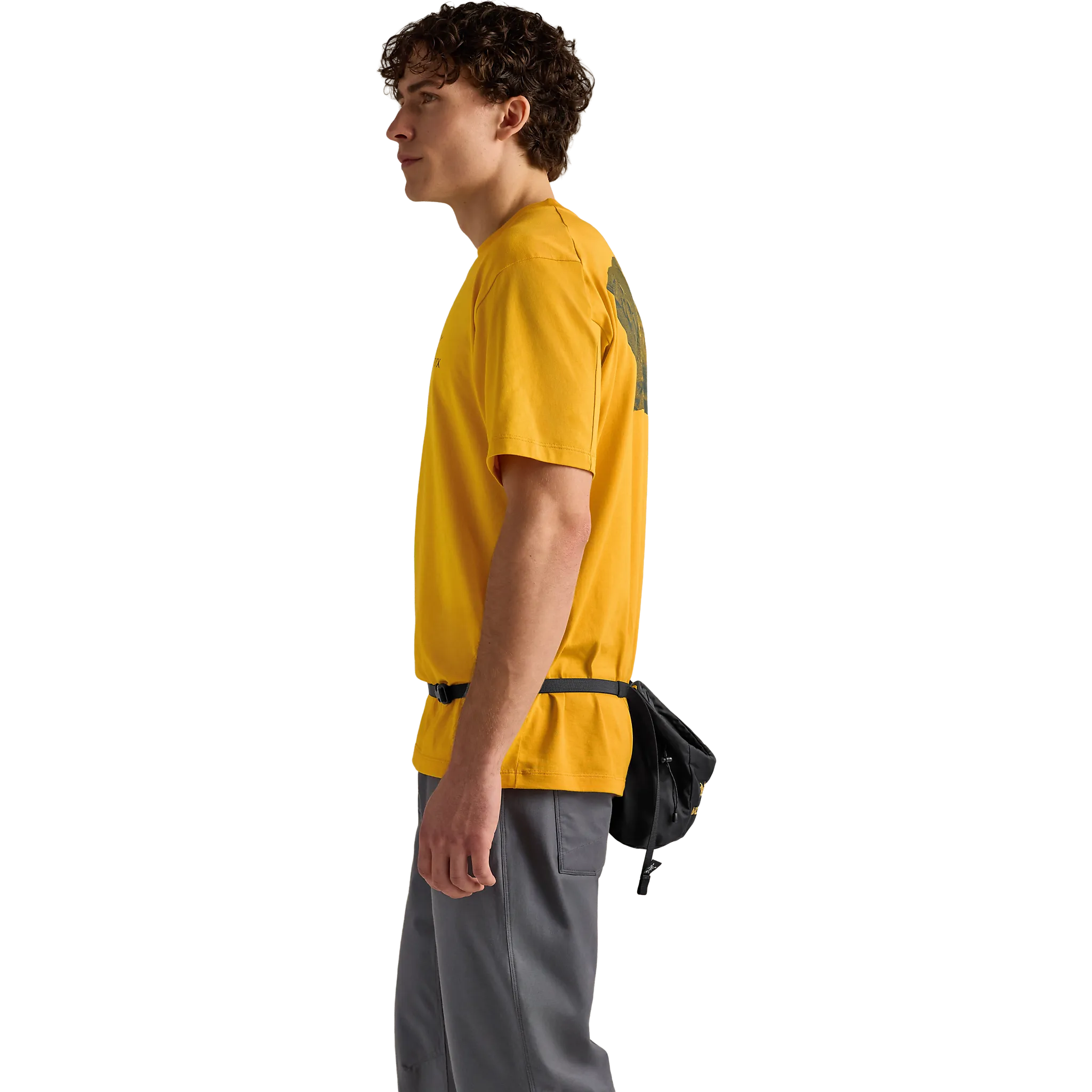 Ion SL Chalkbag