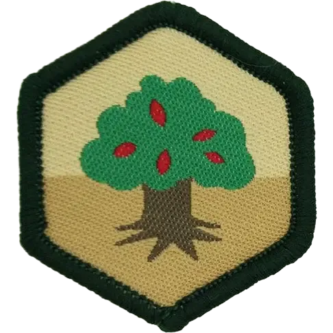 Natur - Bæver - 10-pak