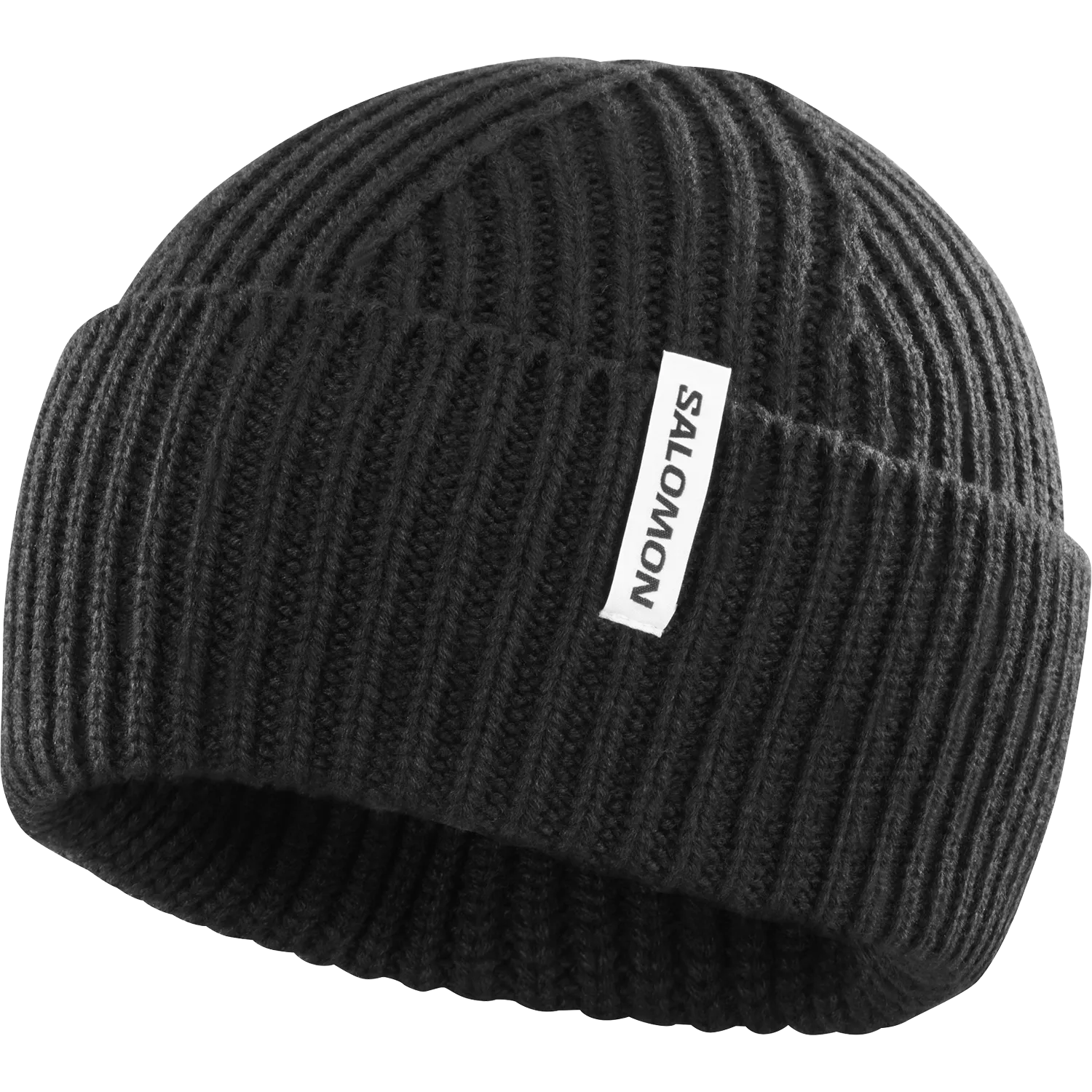 Snowbird Beanie