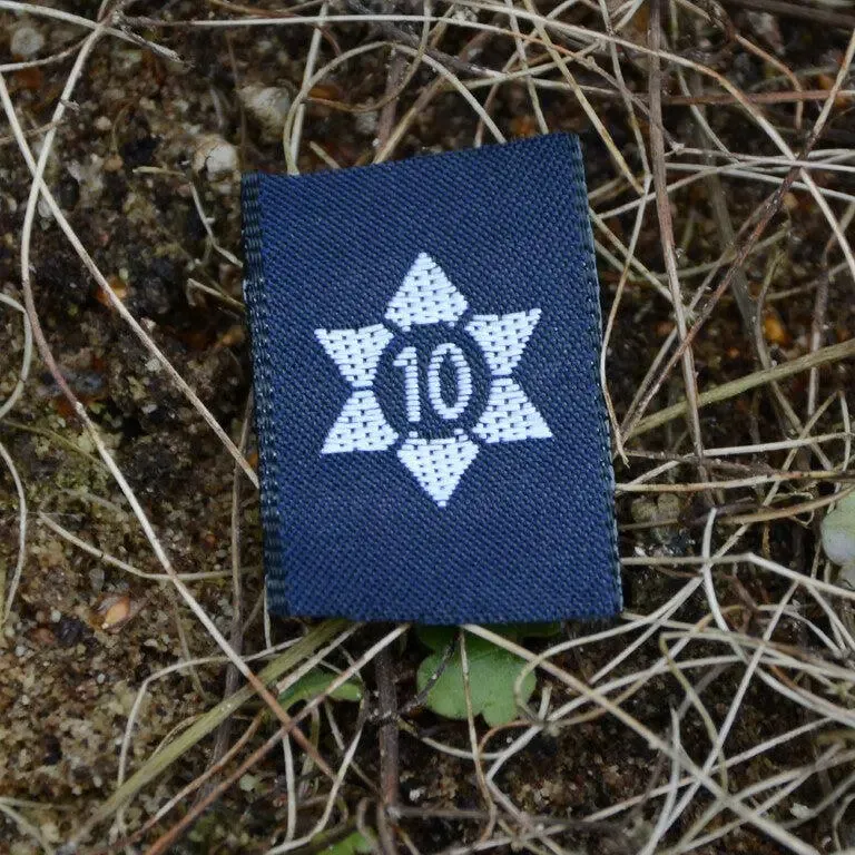 Baptistspejderne 10 Årsstjerne