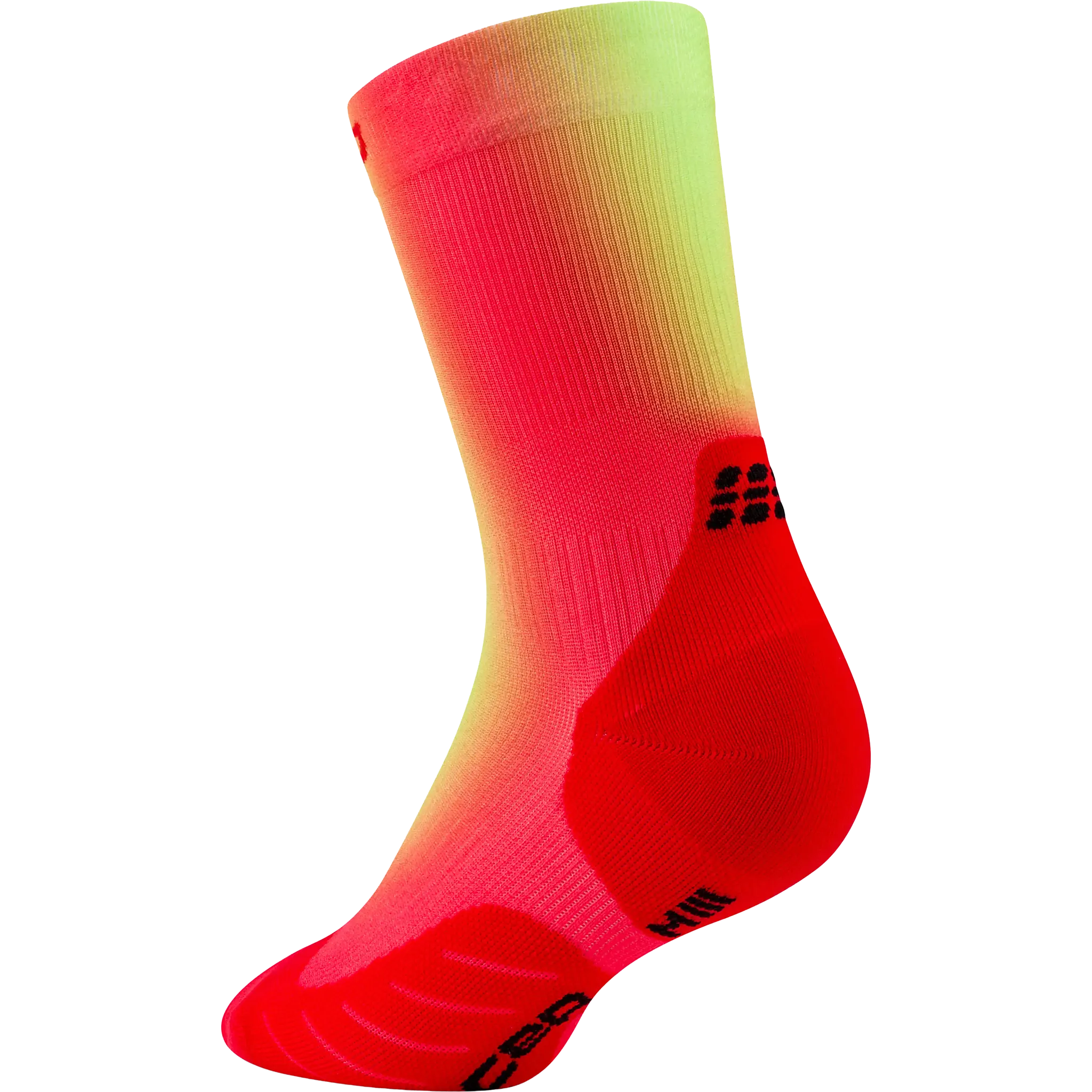 Run Edt. Gradient Socks Mid Cut 5.0 Wome