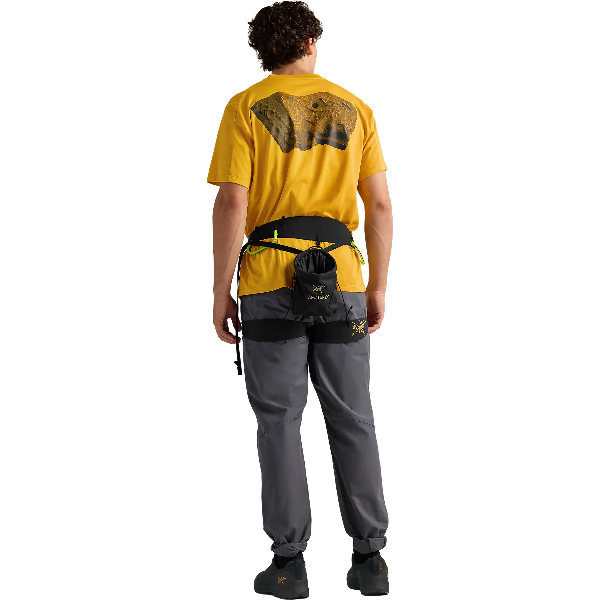 Ion SL Chalkbag