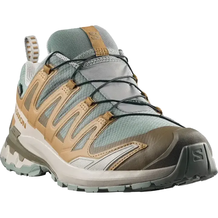 XA Pro 3D V9 GTX Men herrskor