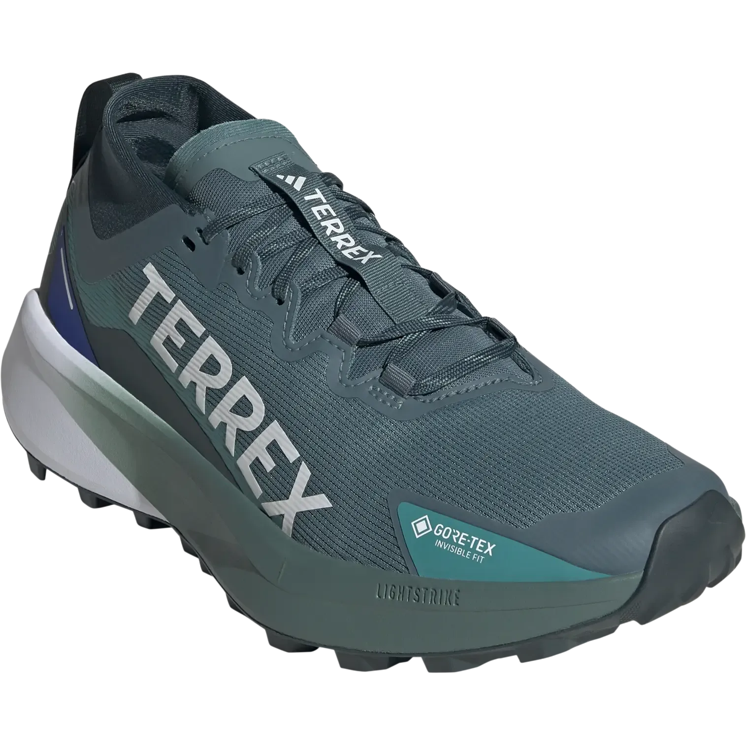 Terrex Agravic GTX Men