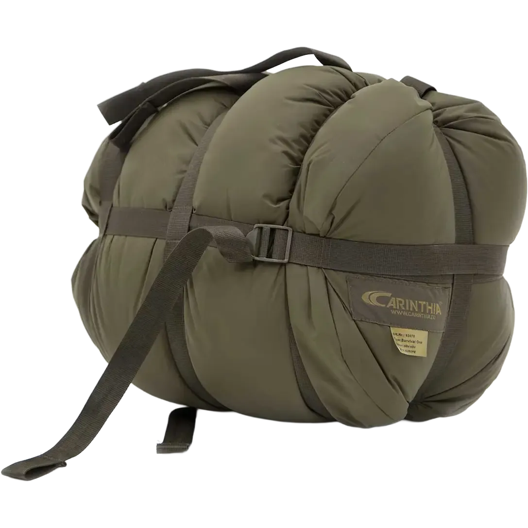Survival One vintersovepose