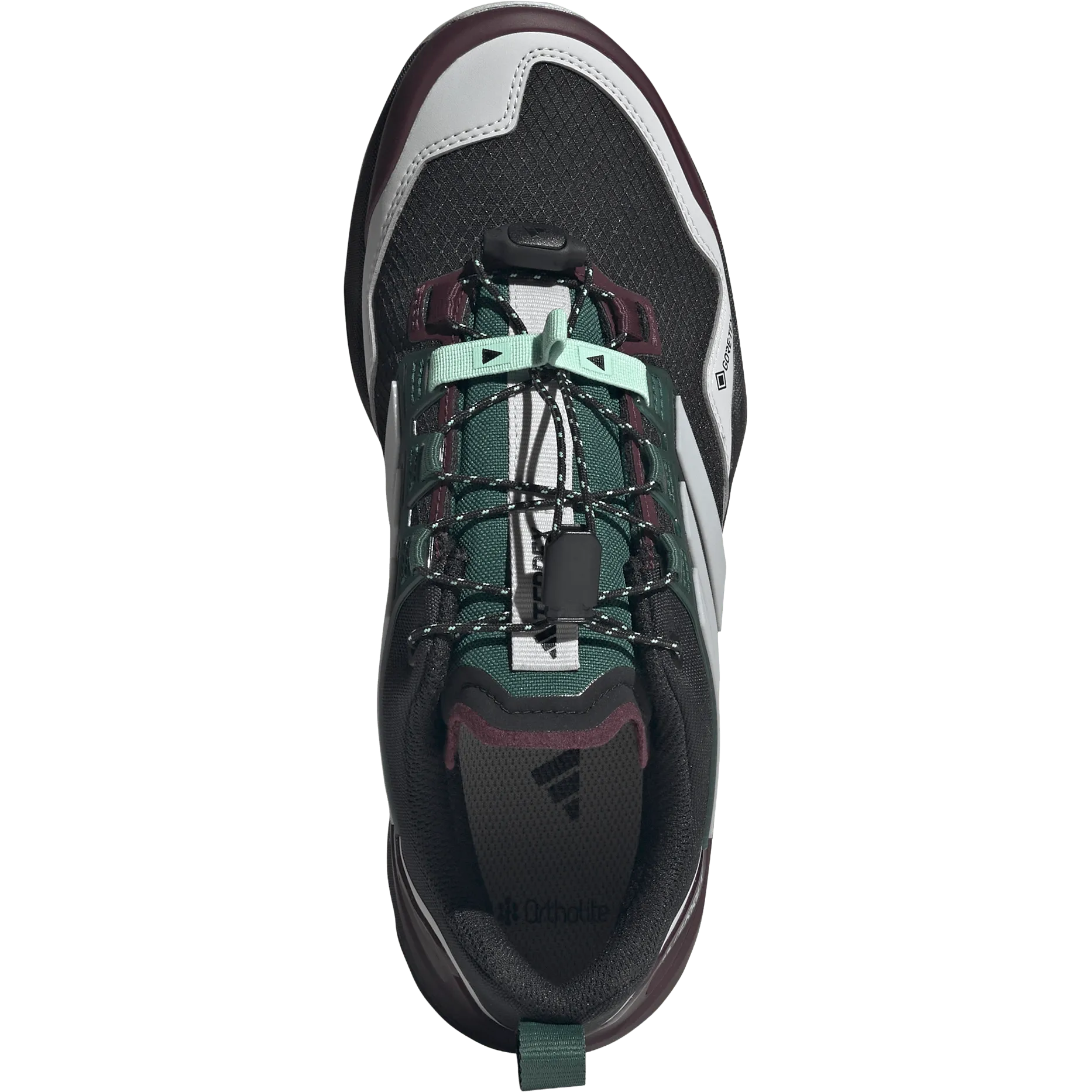 Terrex Skychaser GTX Women