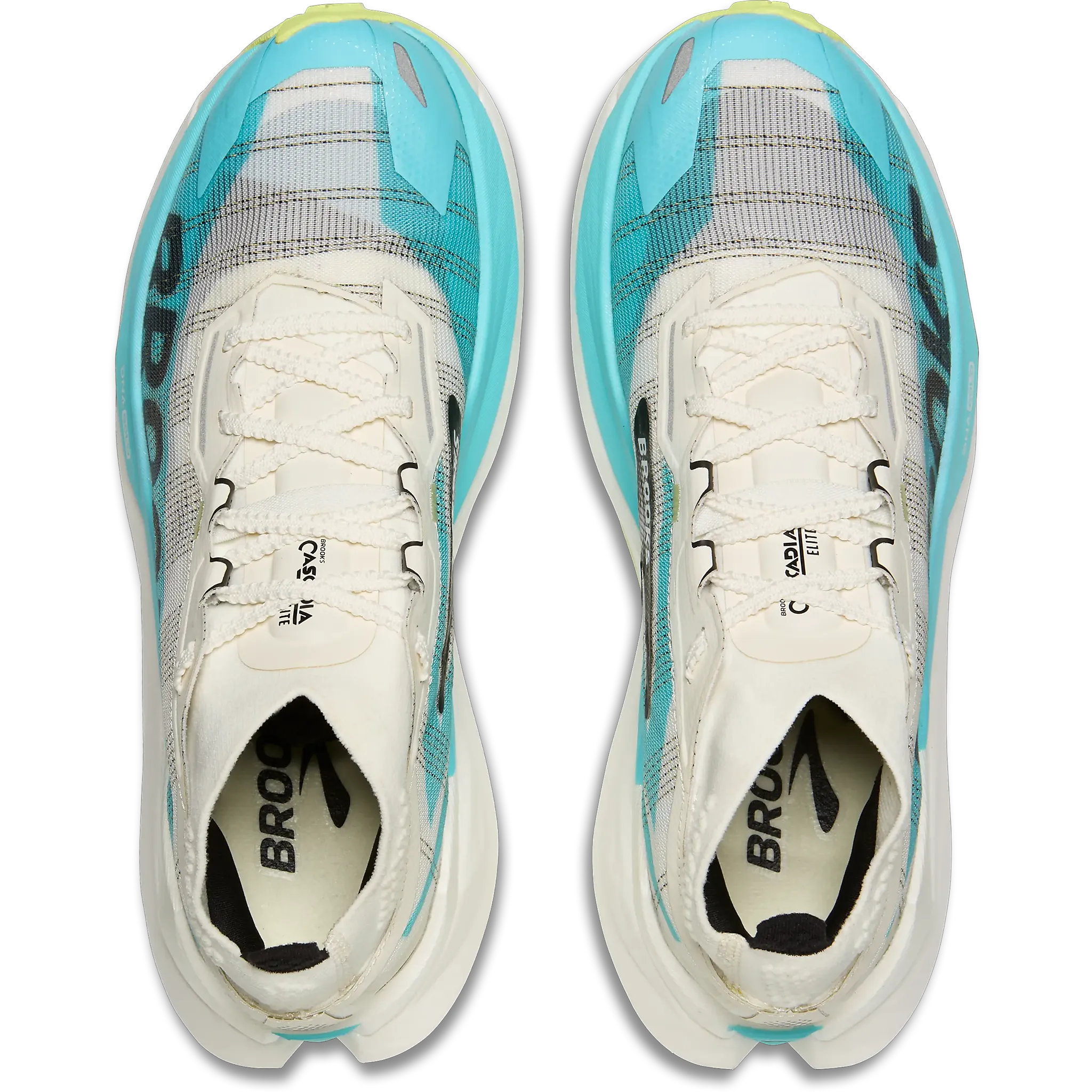 Cascadia Elite