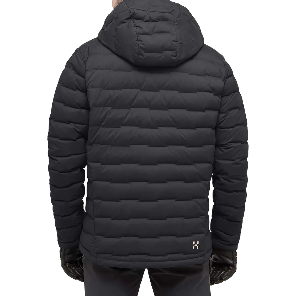 Spitz Down Hood Men dunjacka