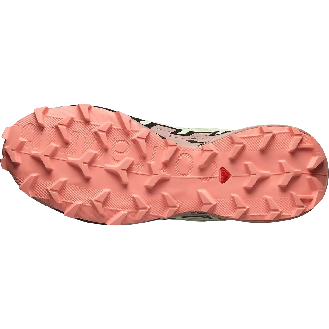 Speedcross 6 GTX Women
