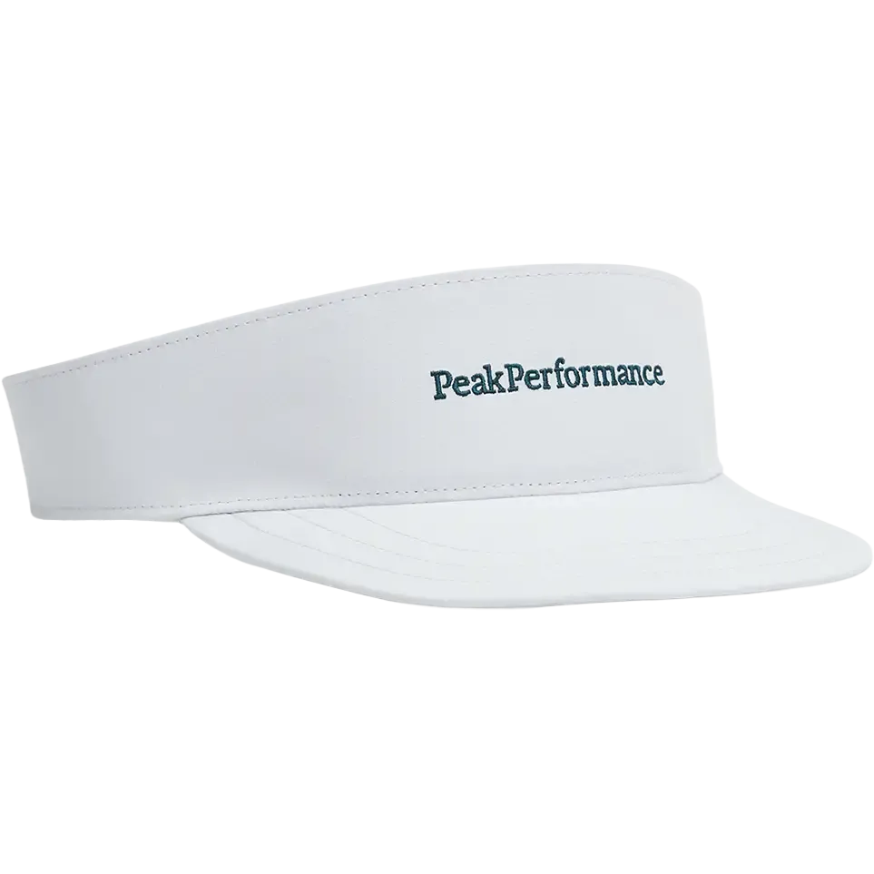 Visor