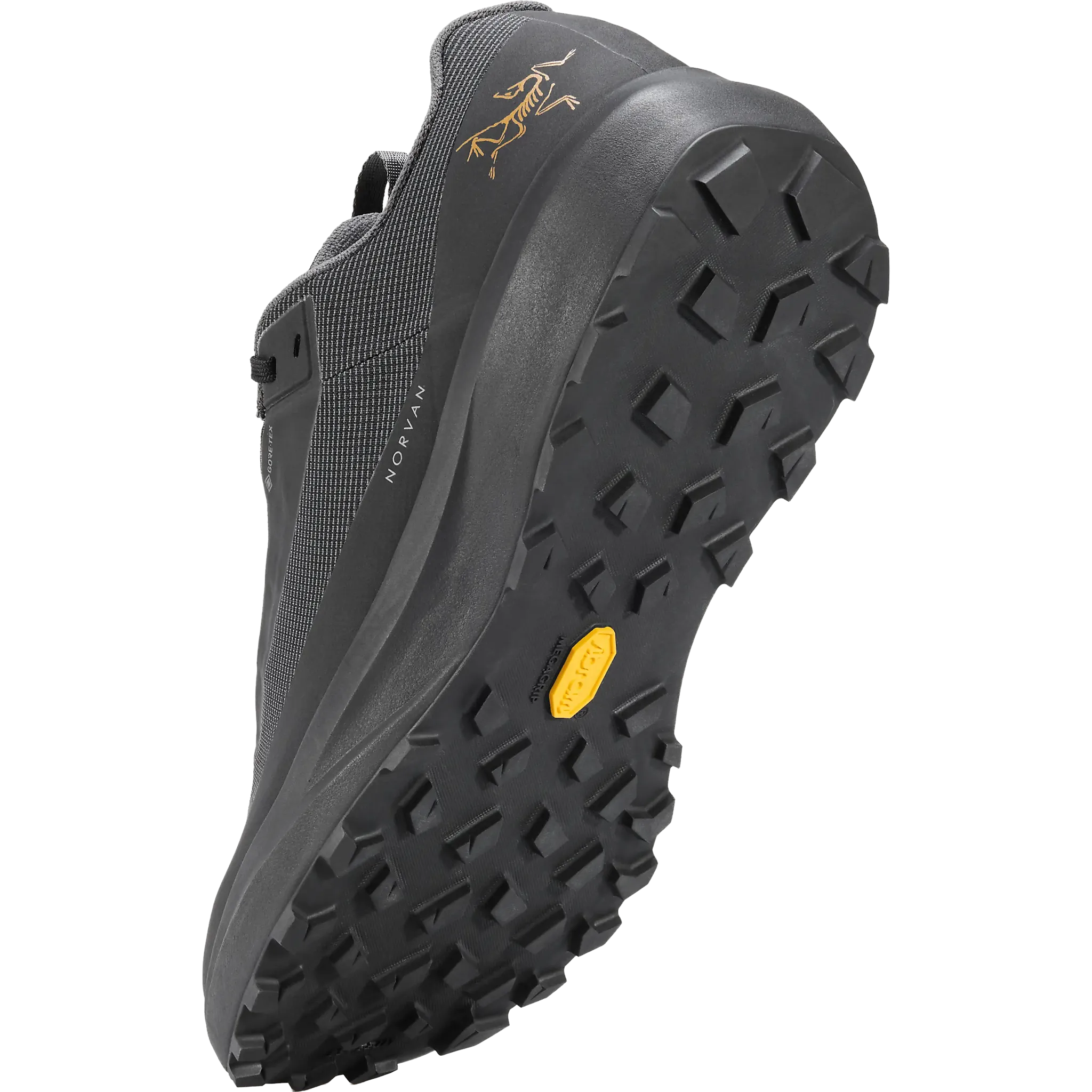 Norvan LD 4 GTX Men