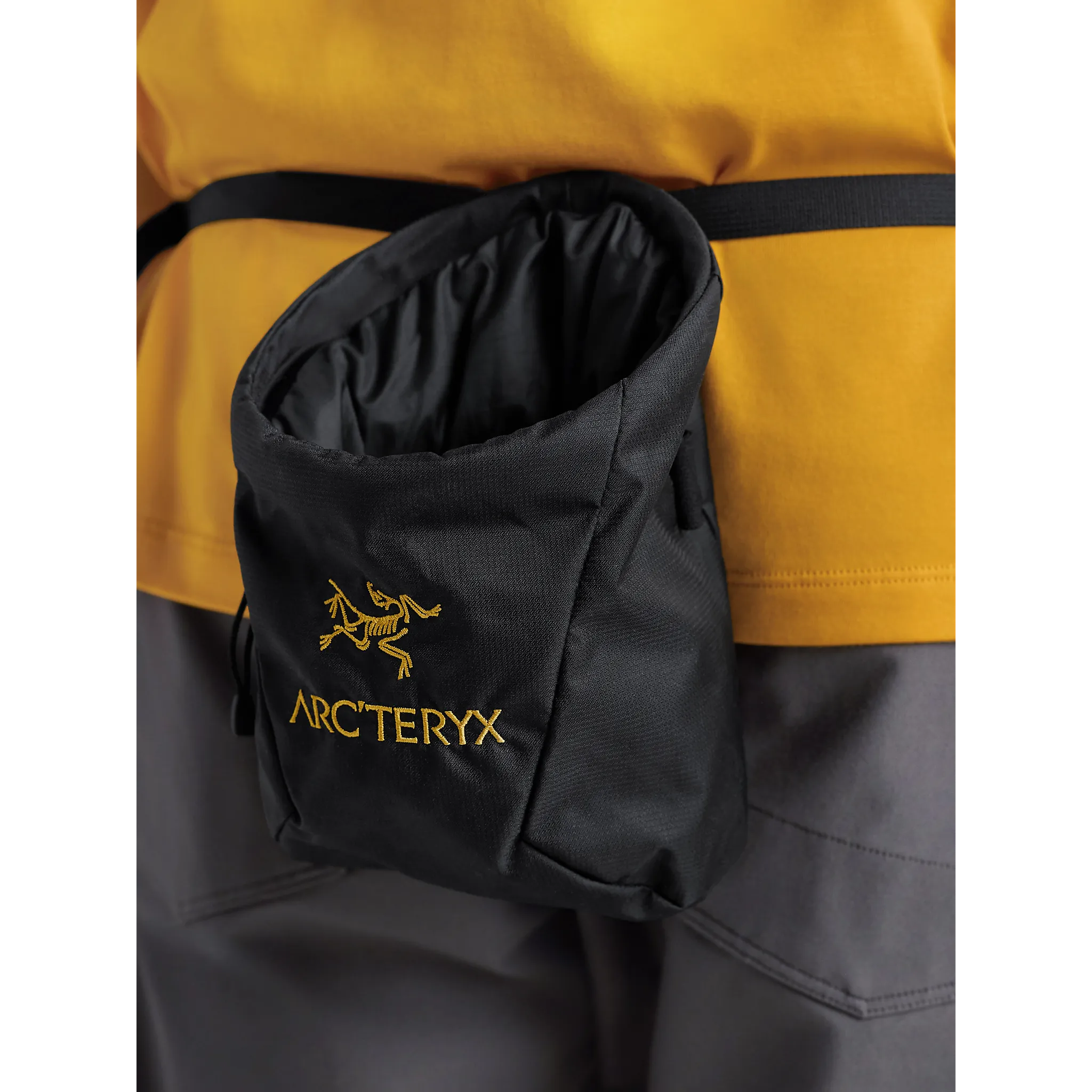 Ion SL Chalkbag