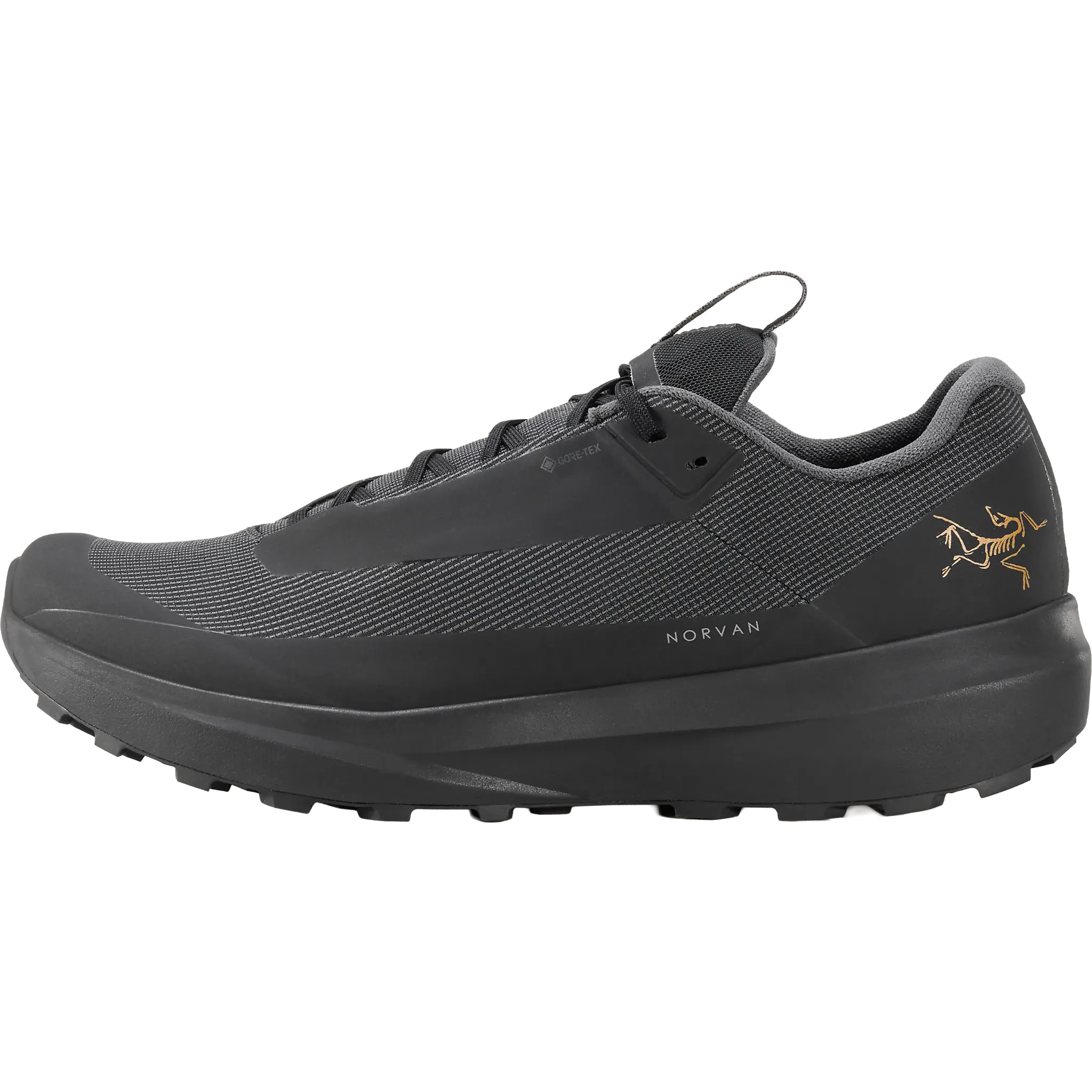 Norvan LD 4 GTX Men