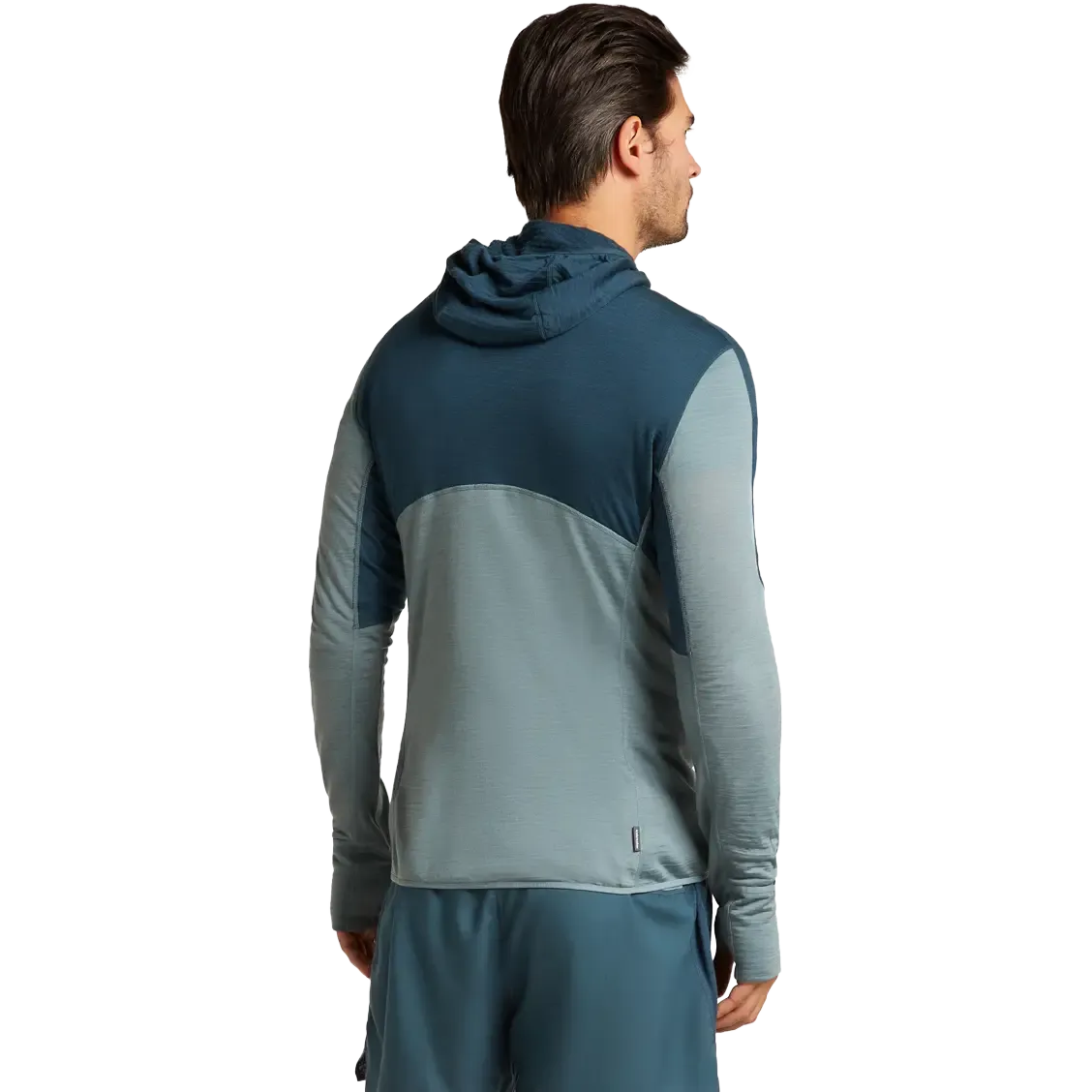 Realfleece Descender LS Zip Hood Men Fleece