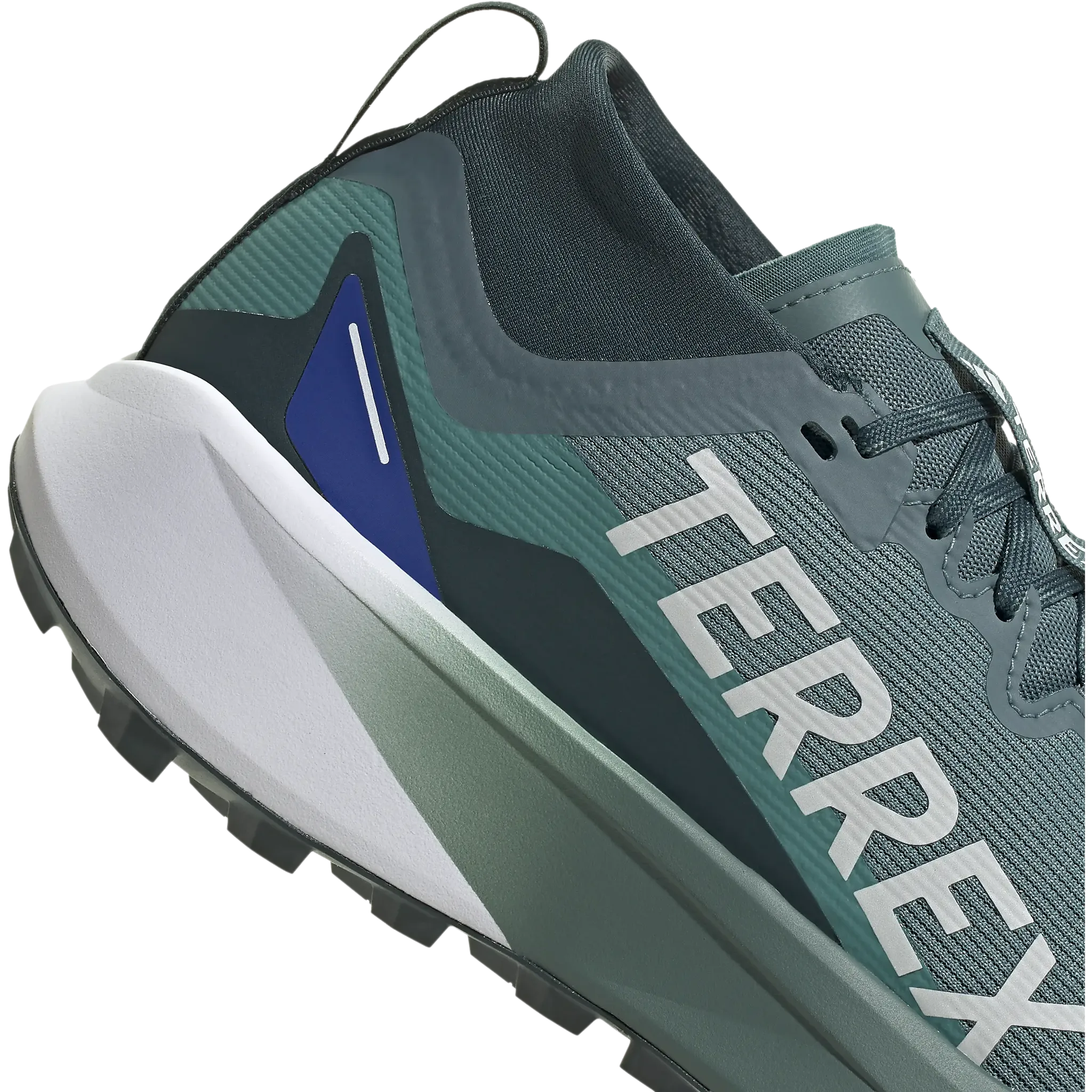Terrex Agravic GTX Men