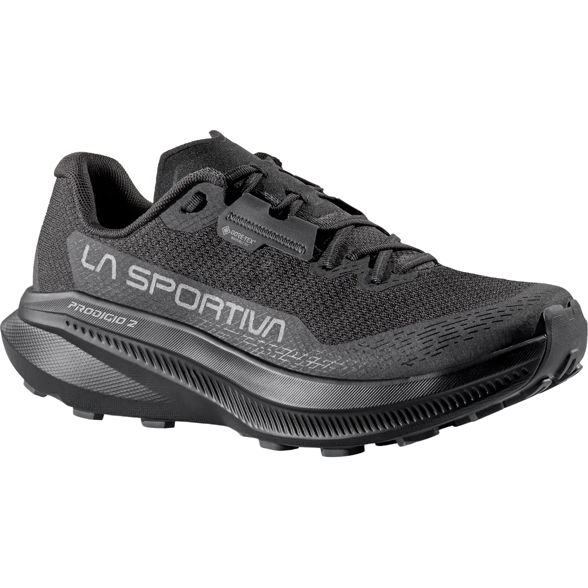 Prodigio 2 GTX Men